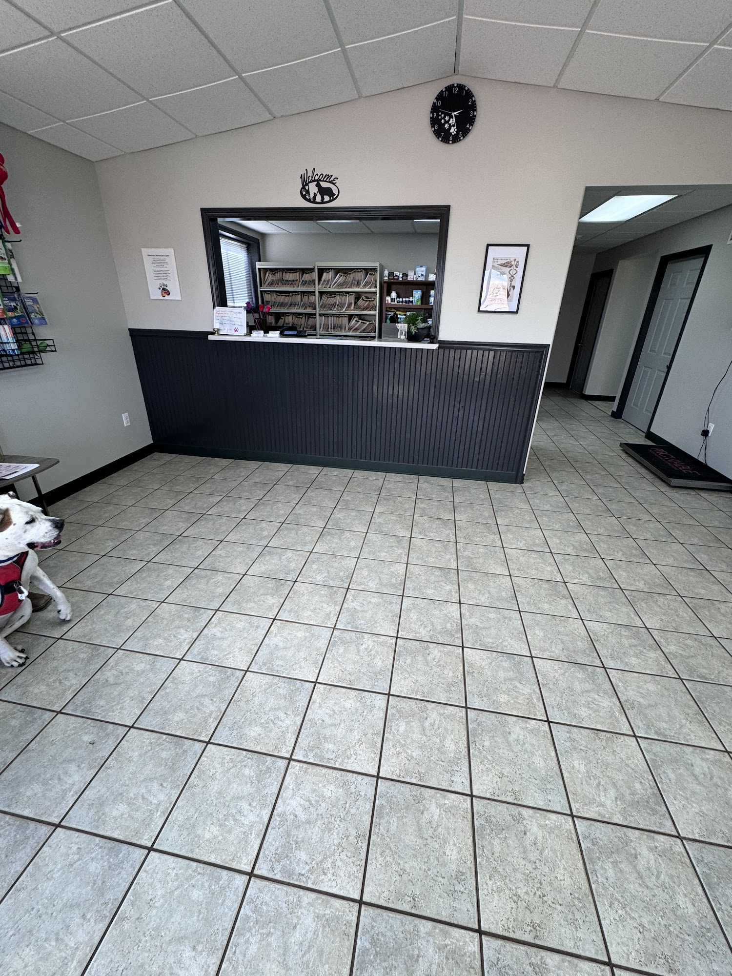 All Paws Veterinary Clinic Elizabeth