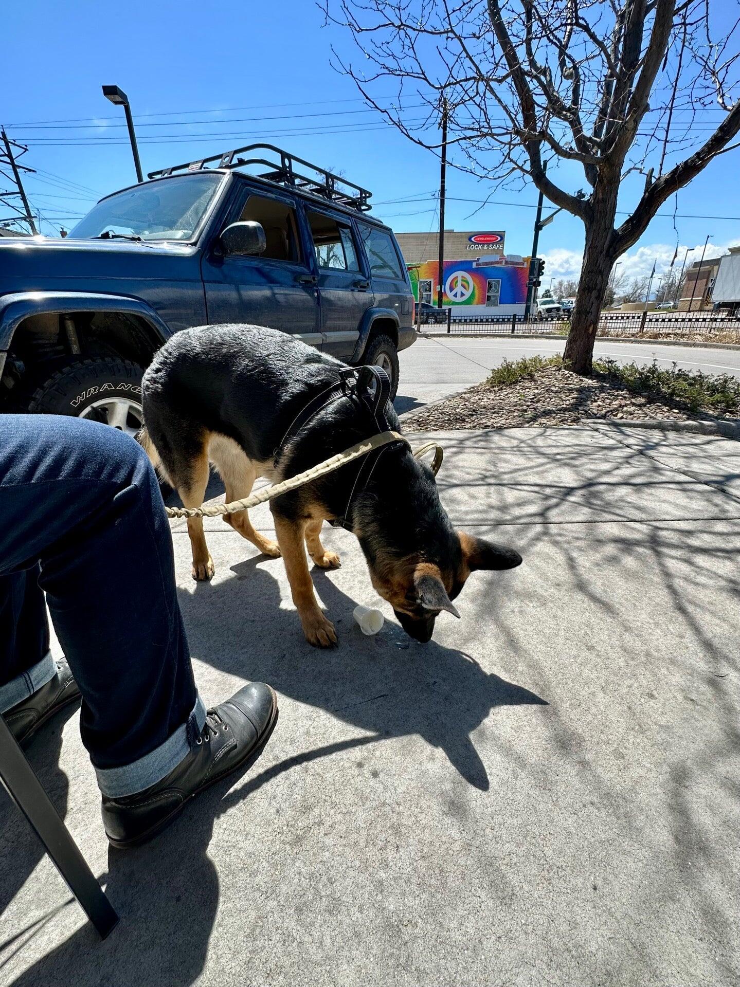 Photo credit: nextdoor