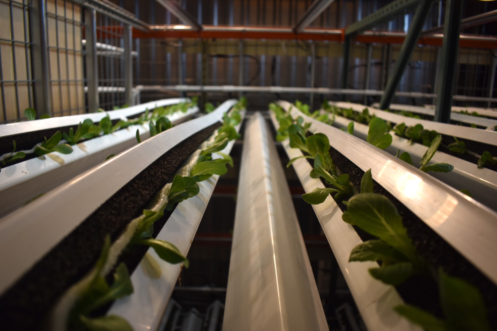 Grow + Gather Englewood