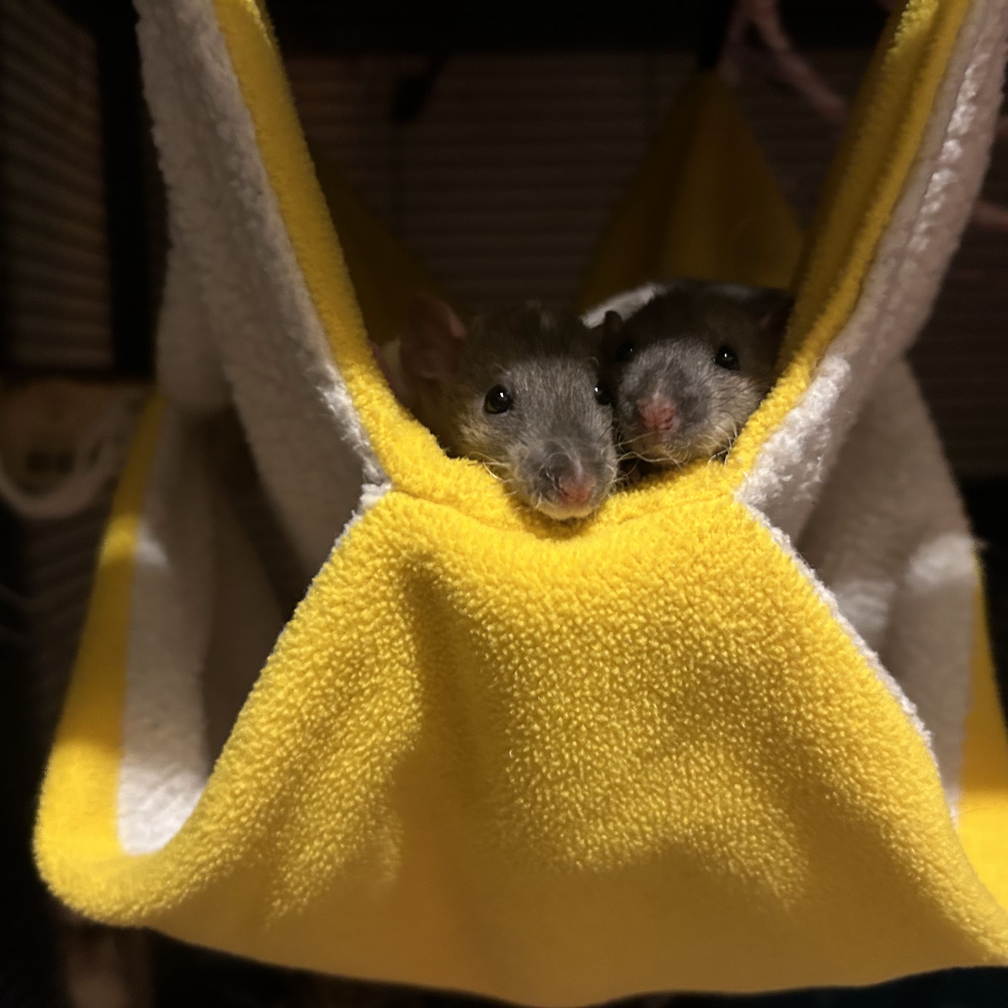 The Rattery Englewood