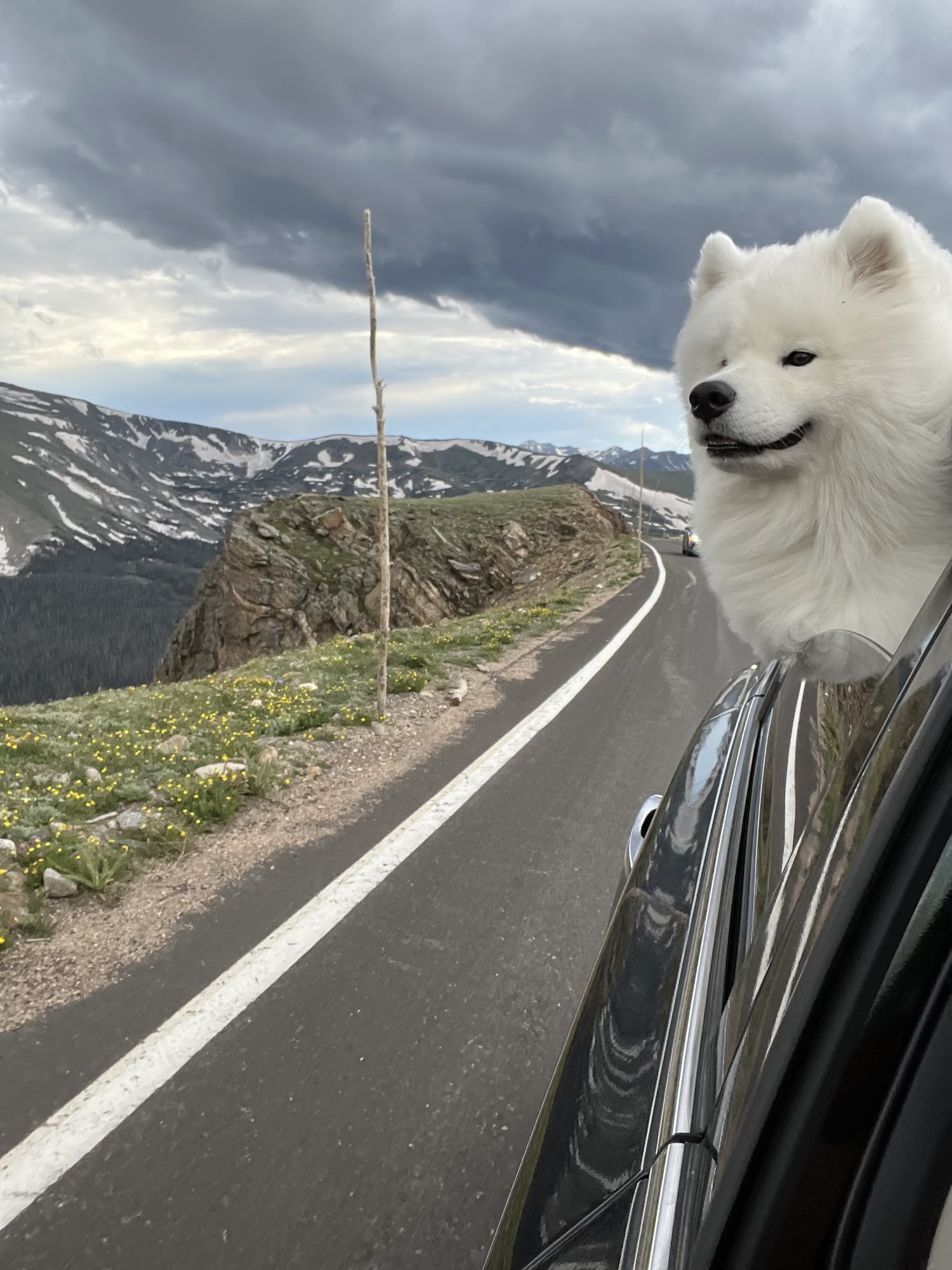 Estes Park Pet Lodge Estes Park