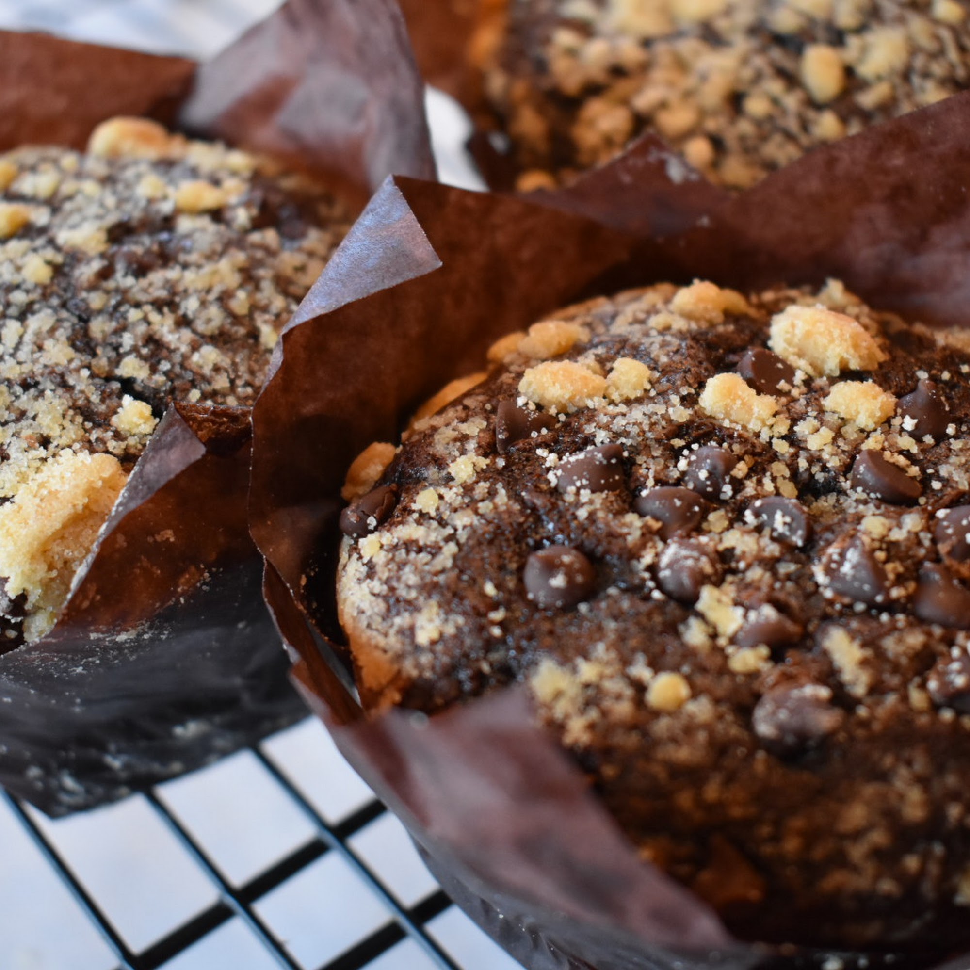 Espresso Evergreen Evergreen