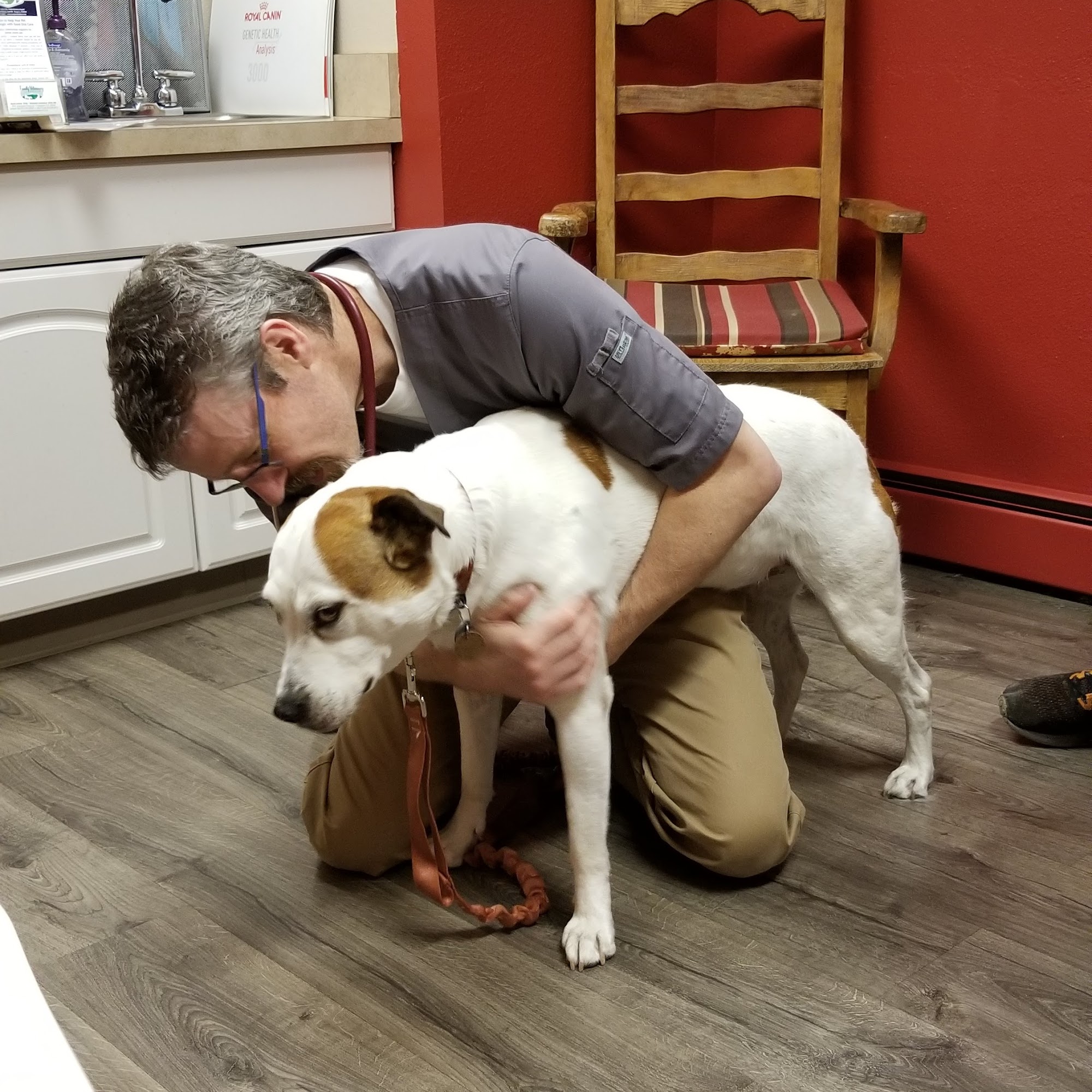 Family Veterinary Hospital Evergreen