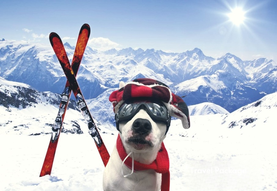 Bergen Bark Inn Evergreen