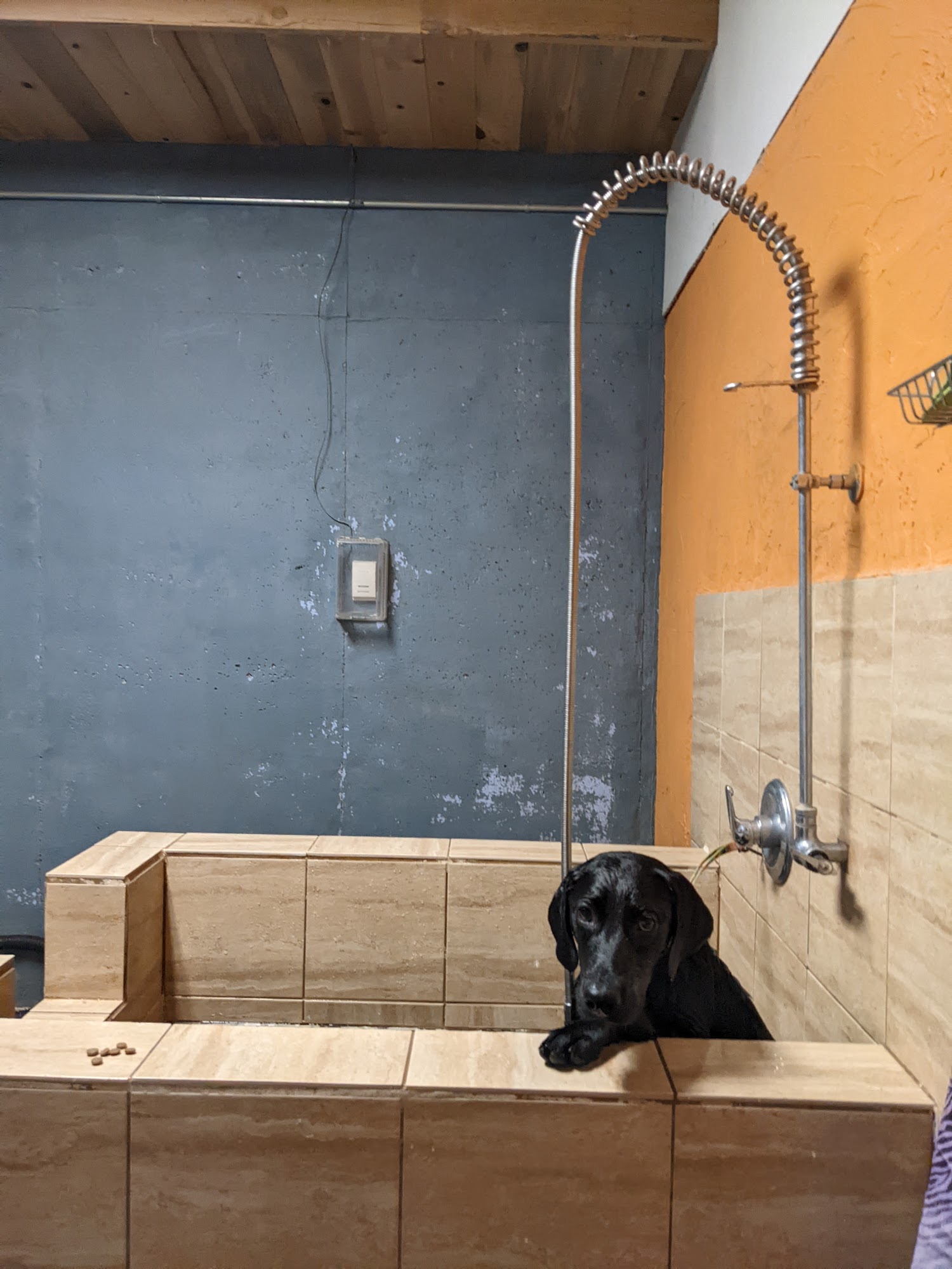 High Paw Pet Supplies Fairplay