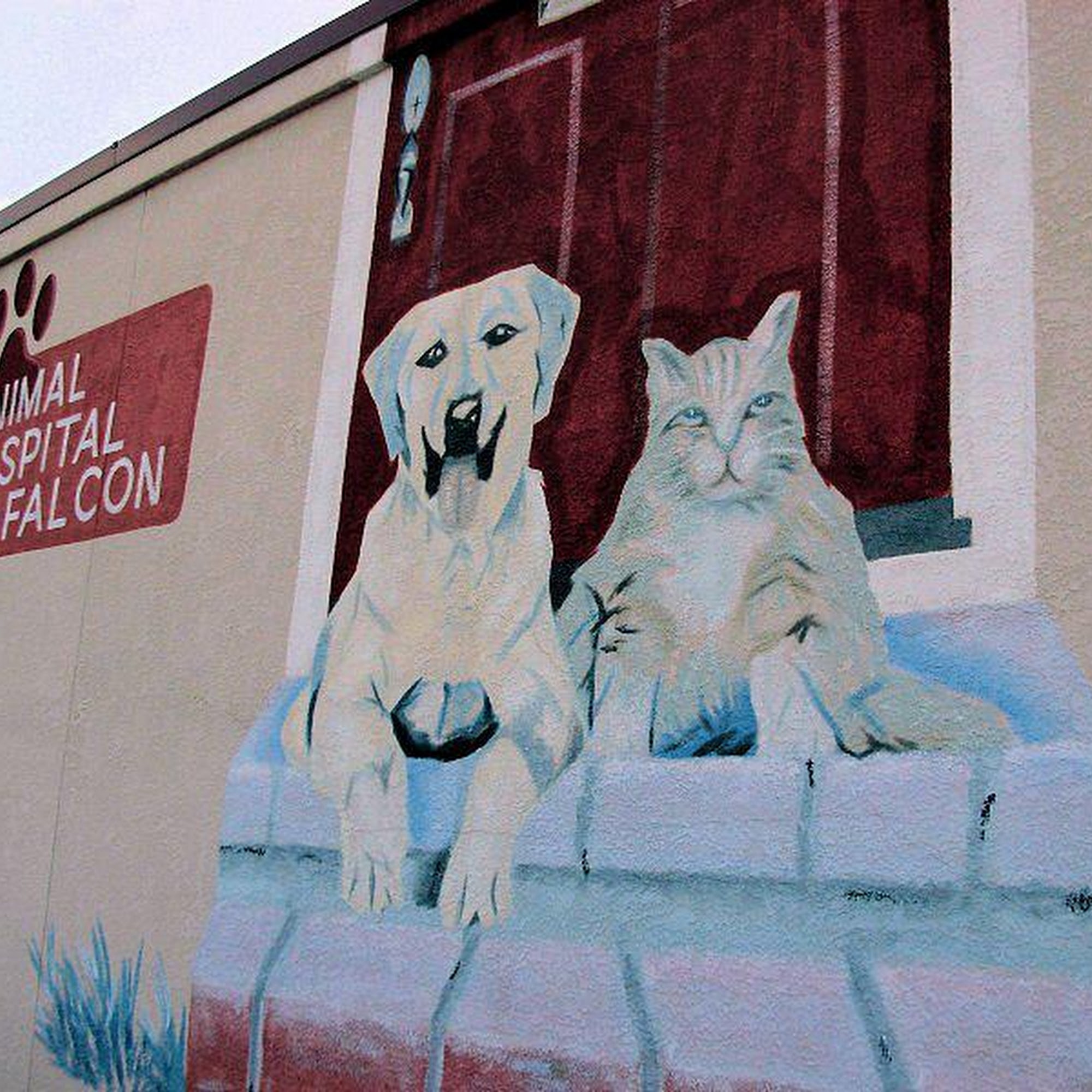 Animal Hospital of Falcon Falcon