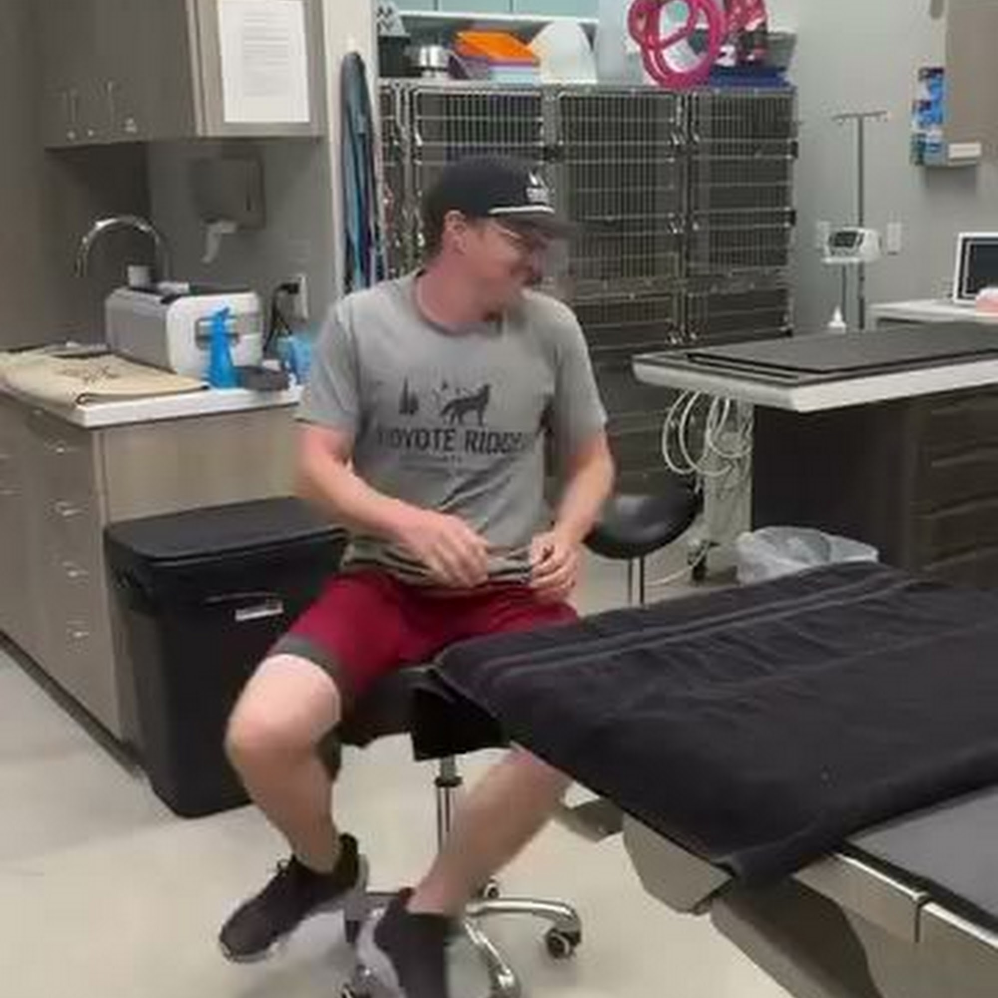 Coyote Ridge Veterinary Clinic Fort Collins