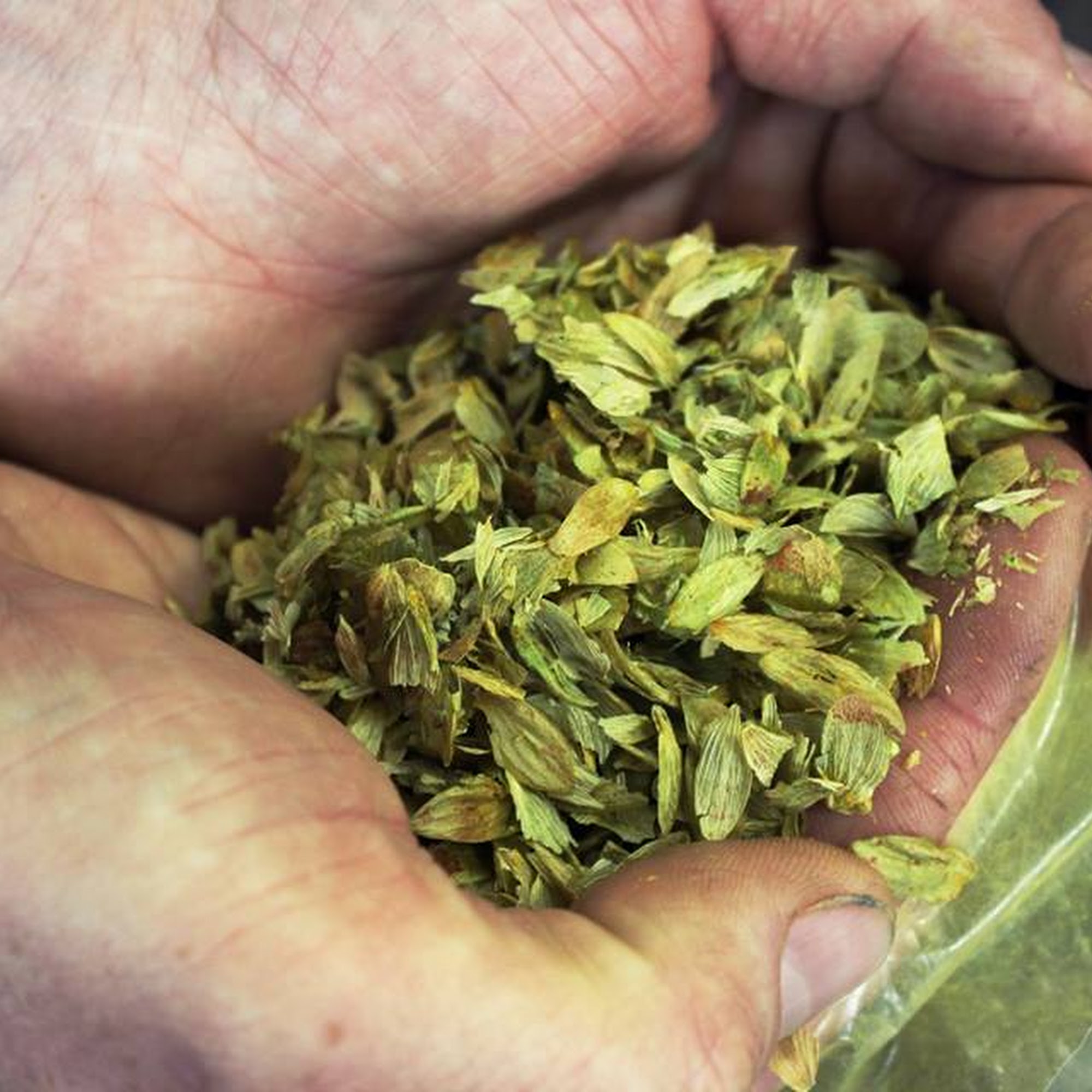 Maxline Brewing Fort Collins