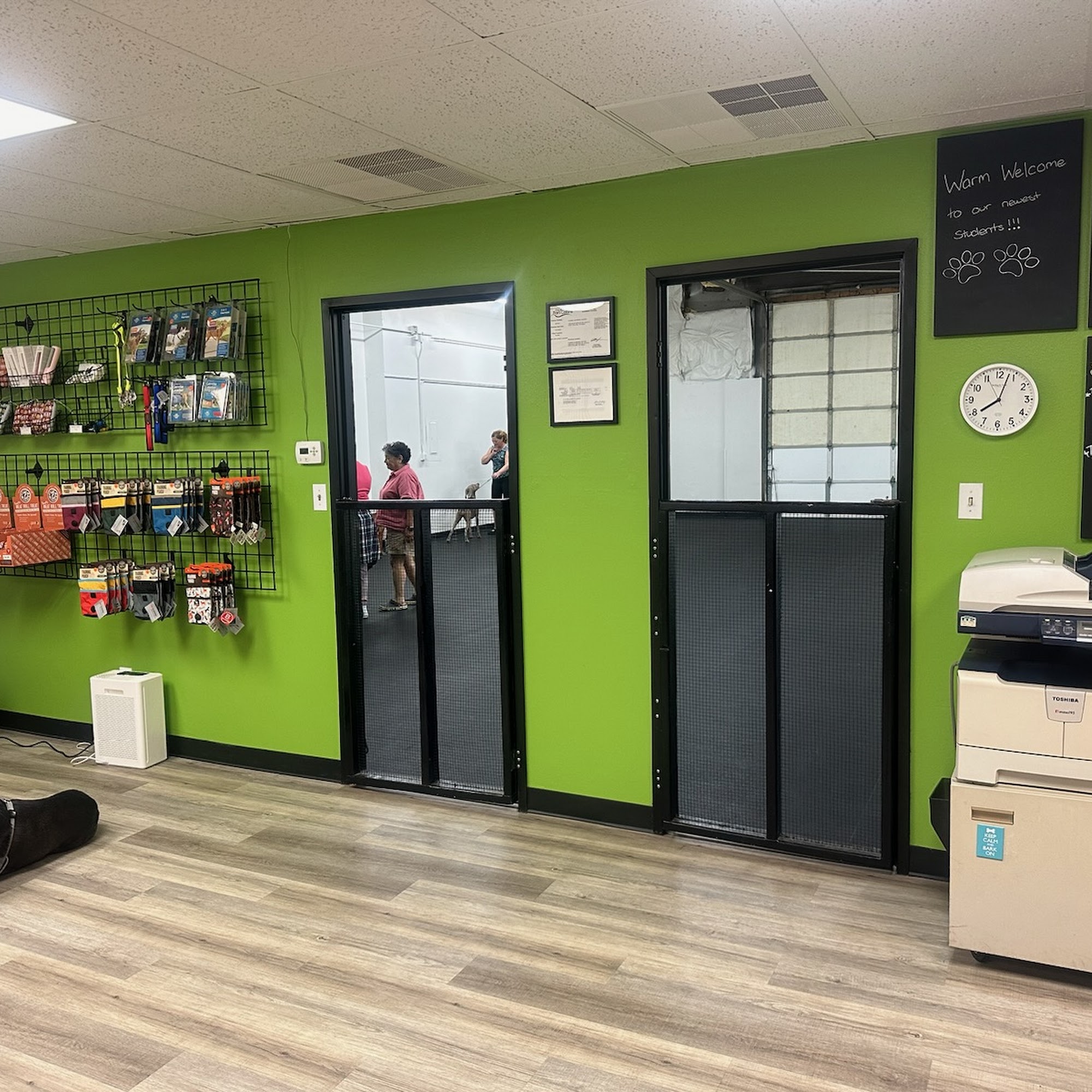 Canine Learning Center Fort Collins