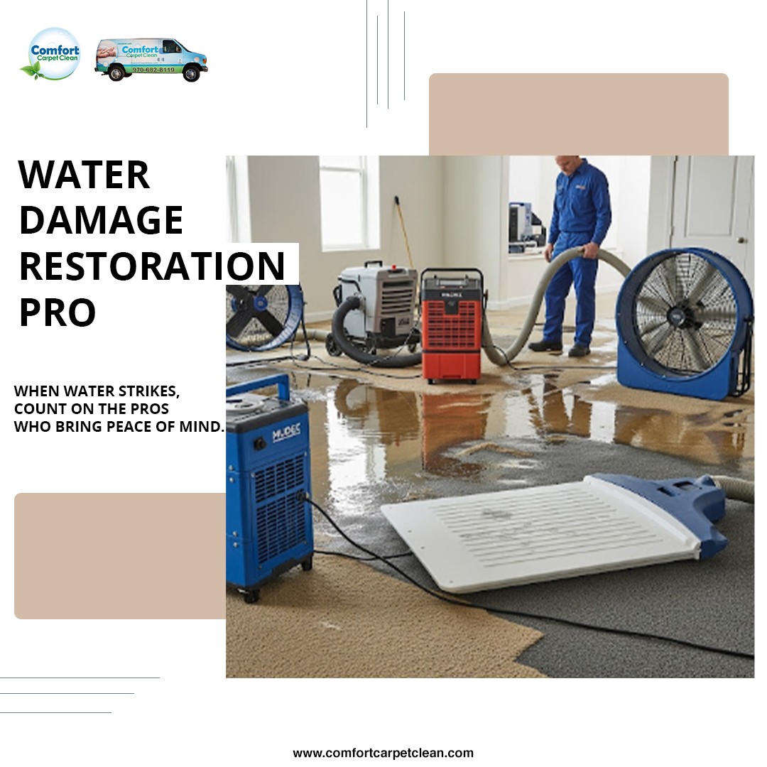 Right On Carpet Cleaning 221 W Prospect Rd #211, Fort Collins Colorado 80526