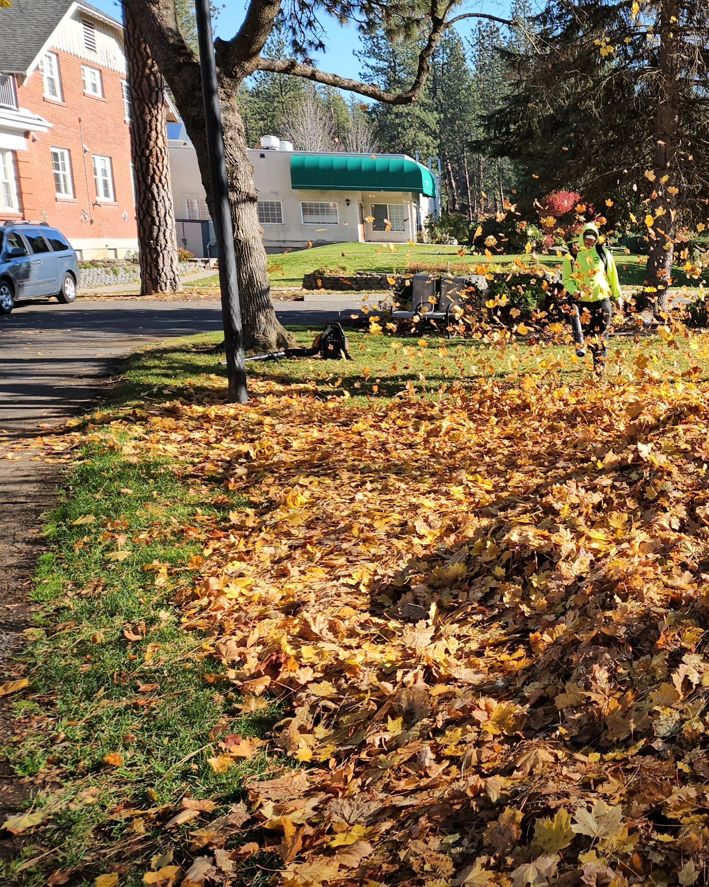 Carlson Lawn Care, LLC