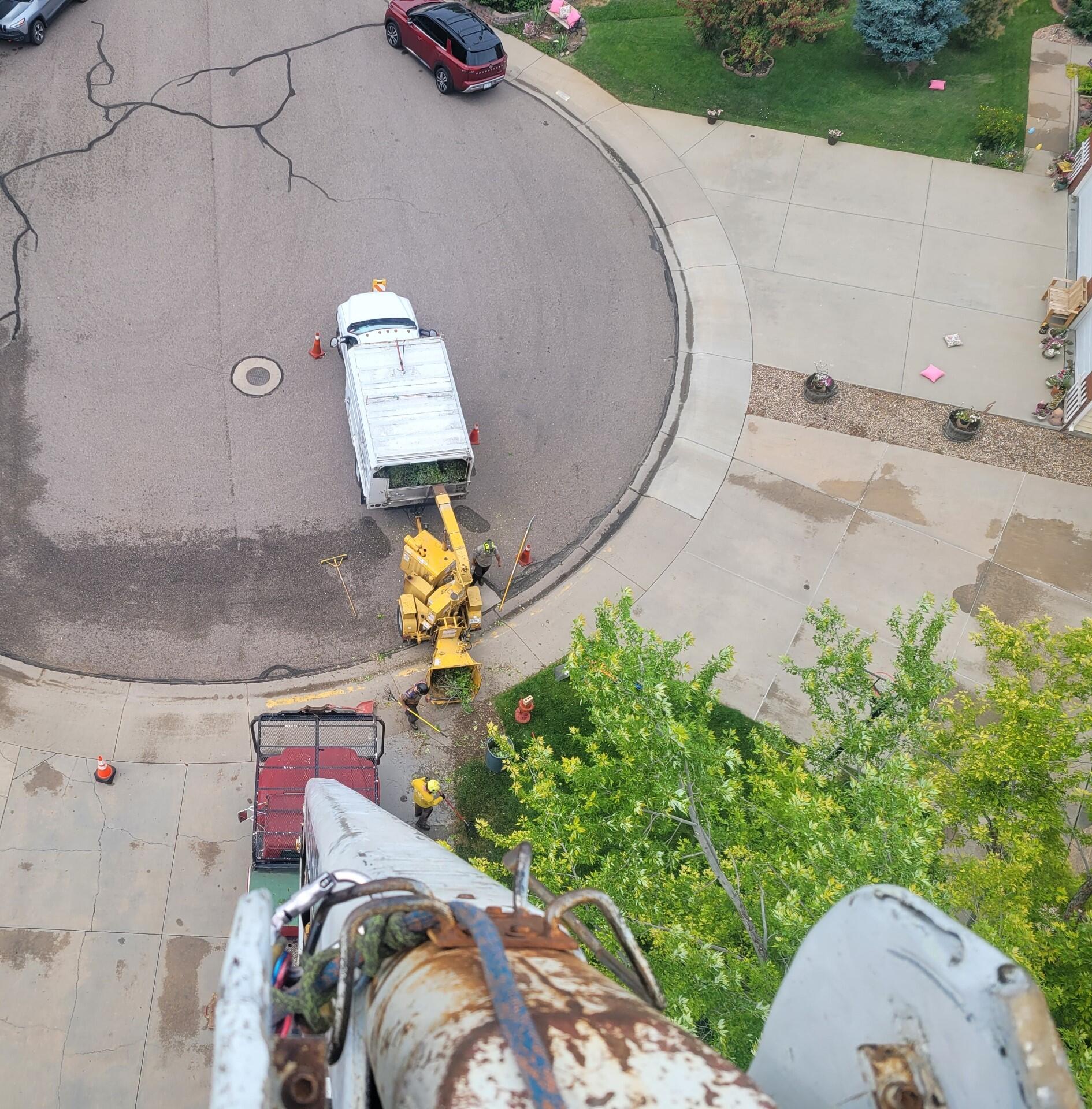 Photo credit: nextdoor