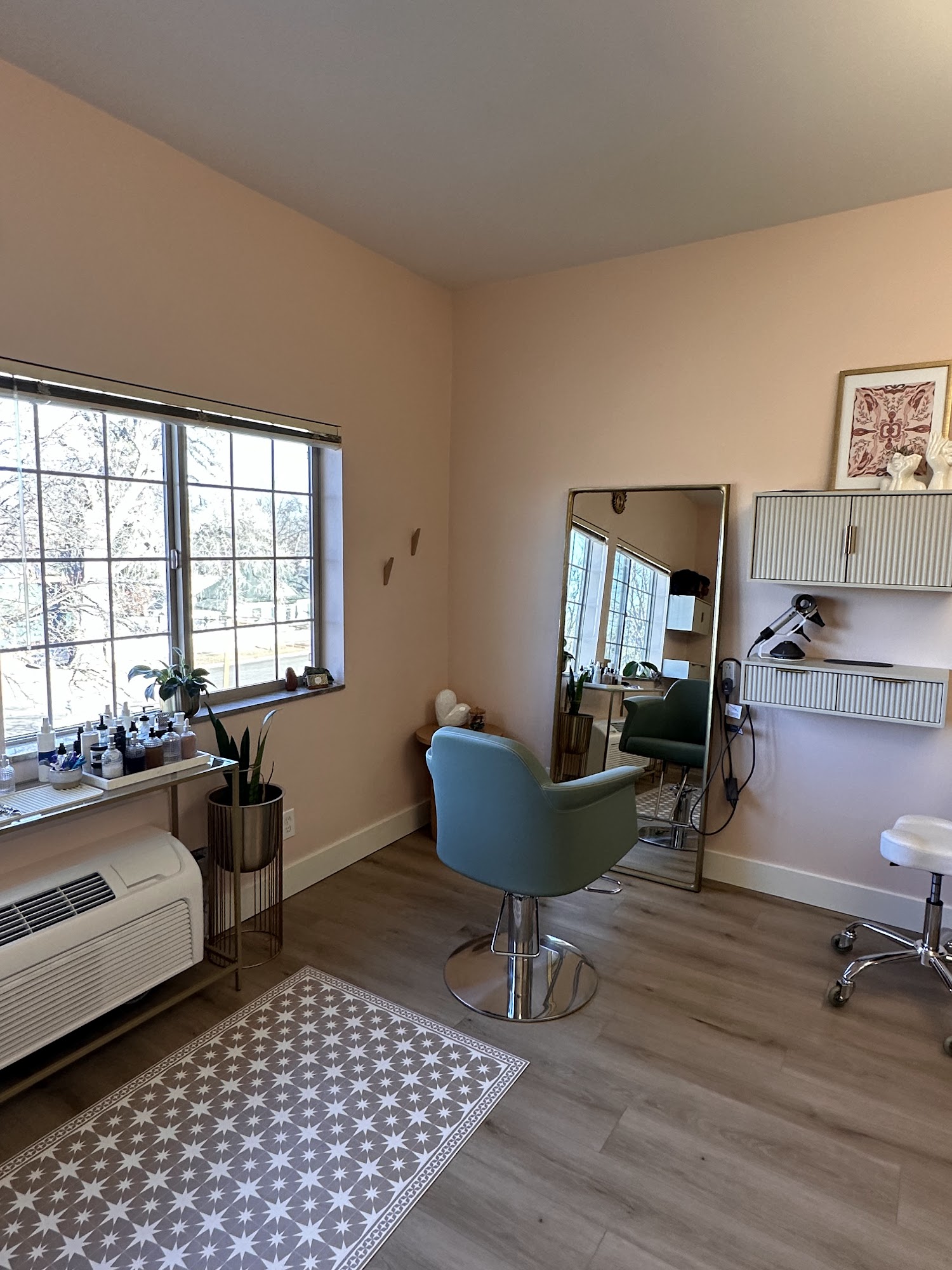 Anda Hair Studio, LLC 1200 S College Ave Suite 303, Fort Collins Colorado 80524