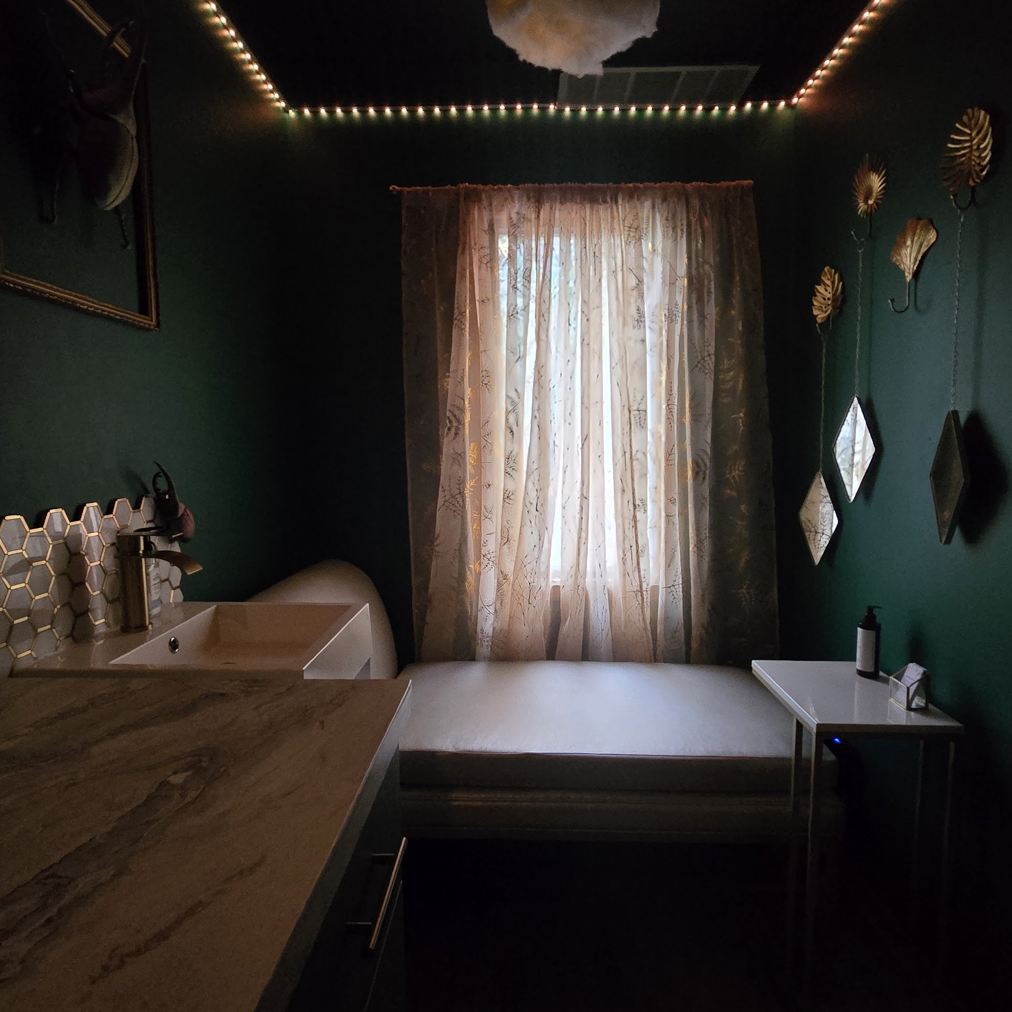 Healing Haven 1113 Stoney Hill Dr, Fort Collins Colorado 80525