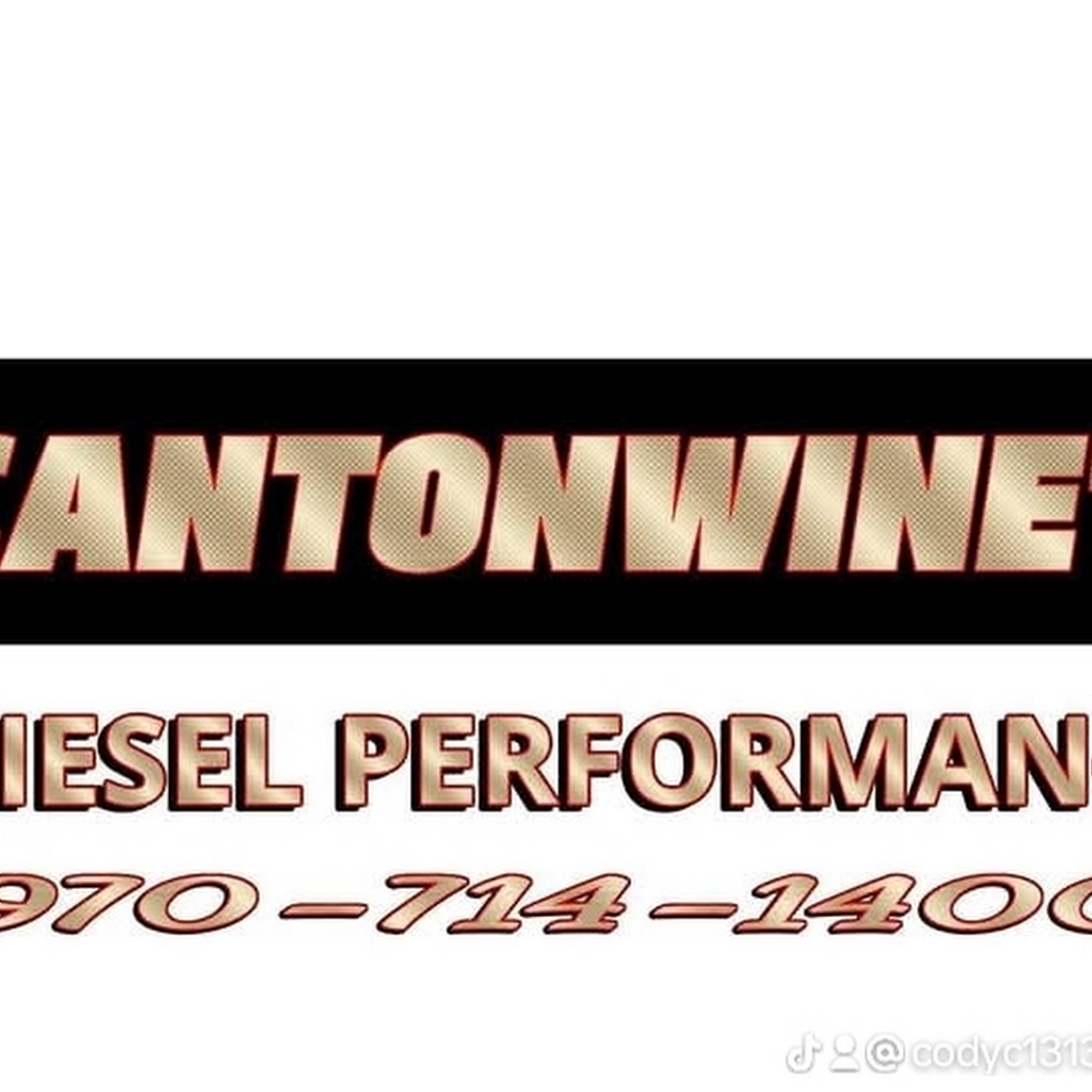 Cantonwine’s Diesel Performance