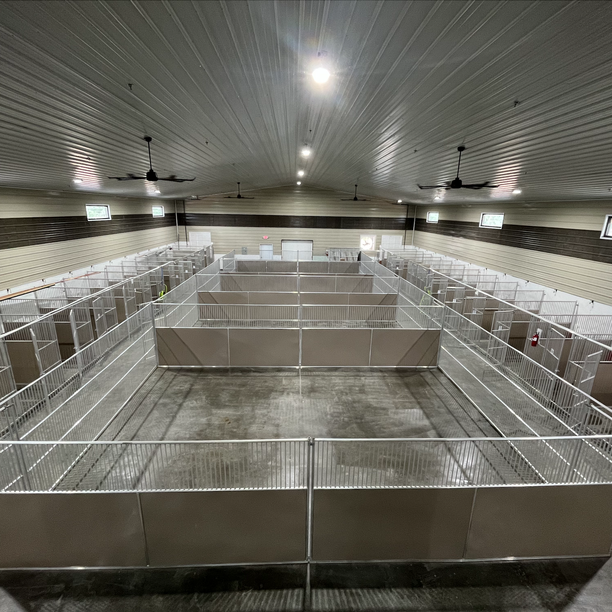 Boardmoor Pet Resort Fountain