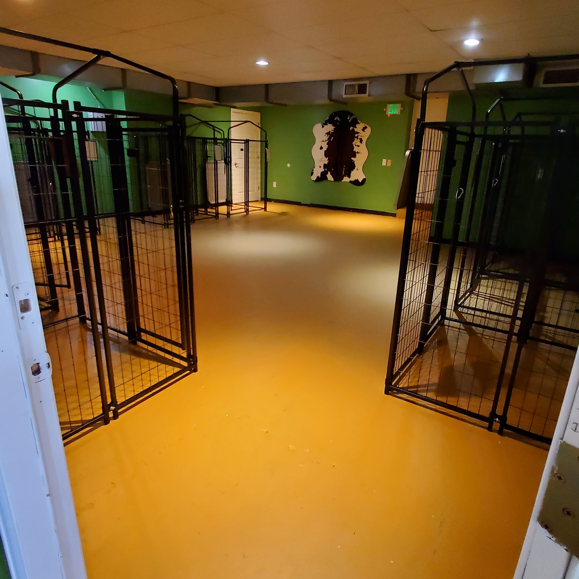 Wags N Walks Colorado Pet Ranch - Boarding, Grooming, Doggy Daycare Franktown