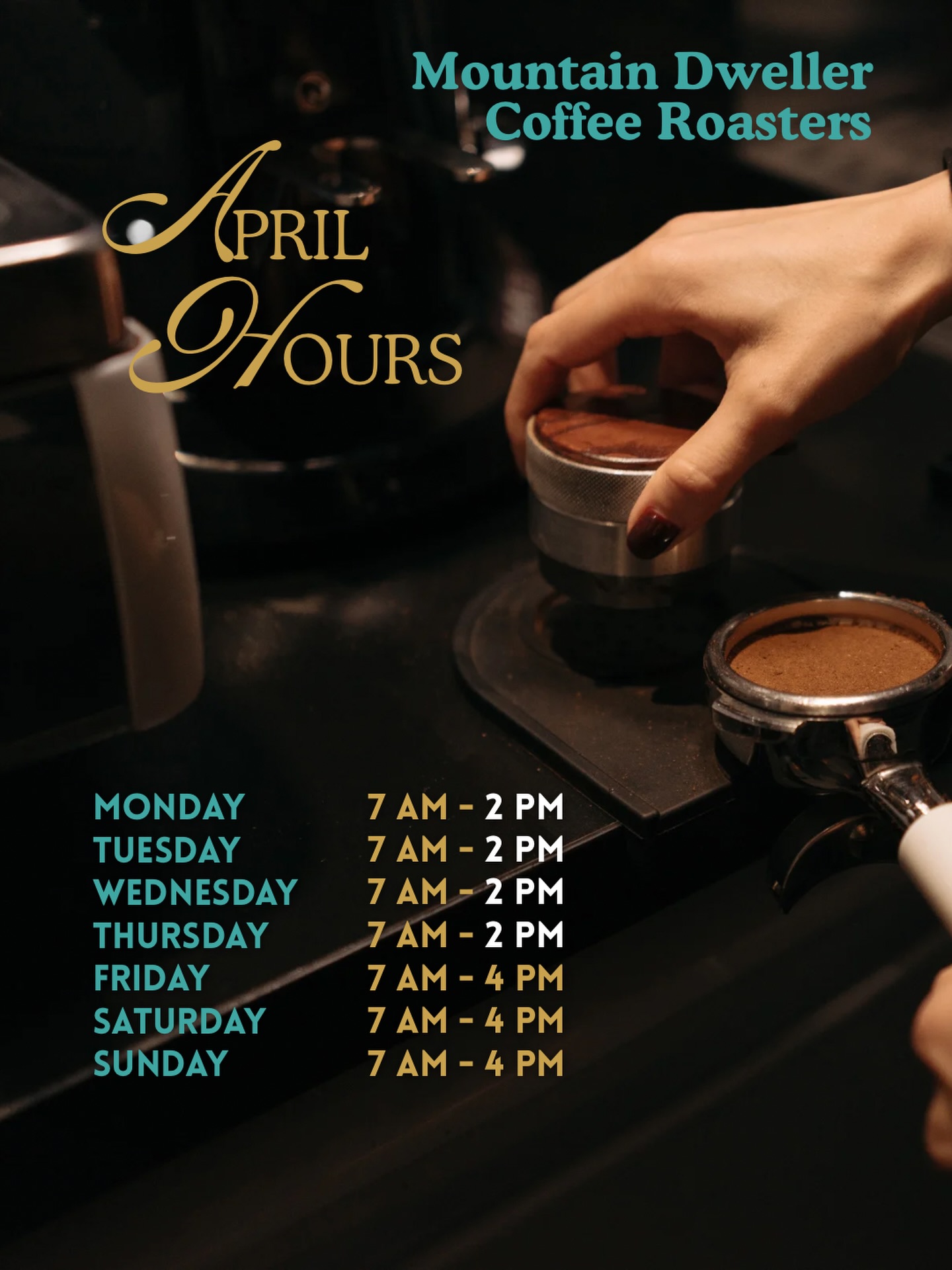 Mountain Dweller Coffee Roasters Frisco