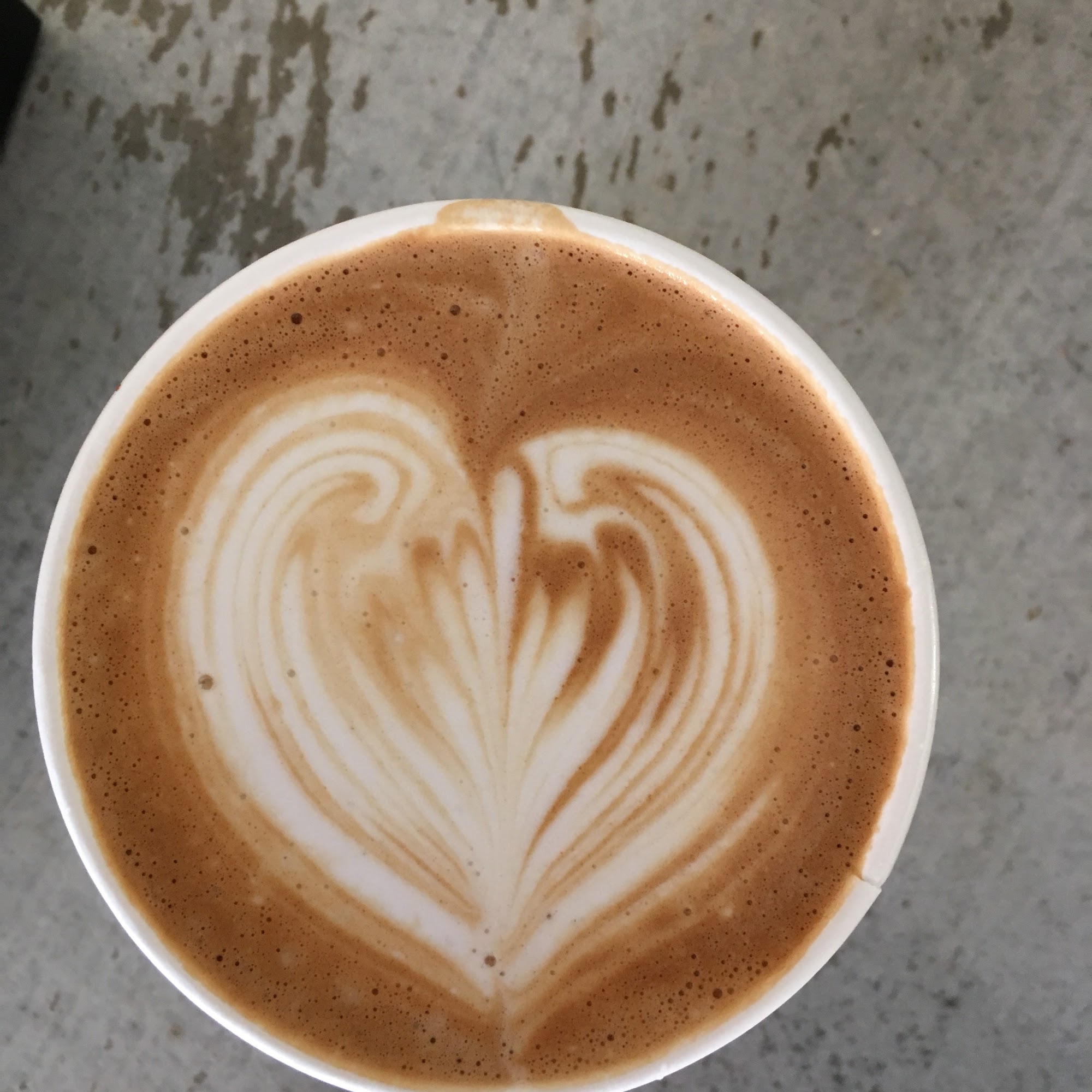 Bestslope Coffee Company Fruita