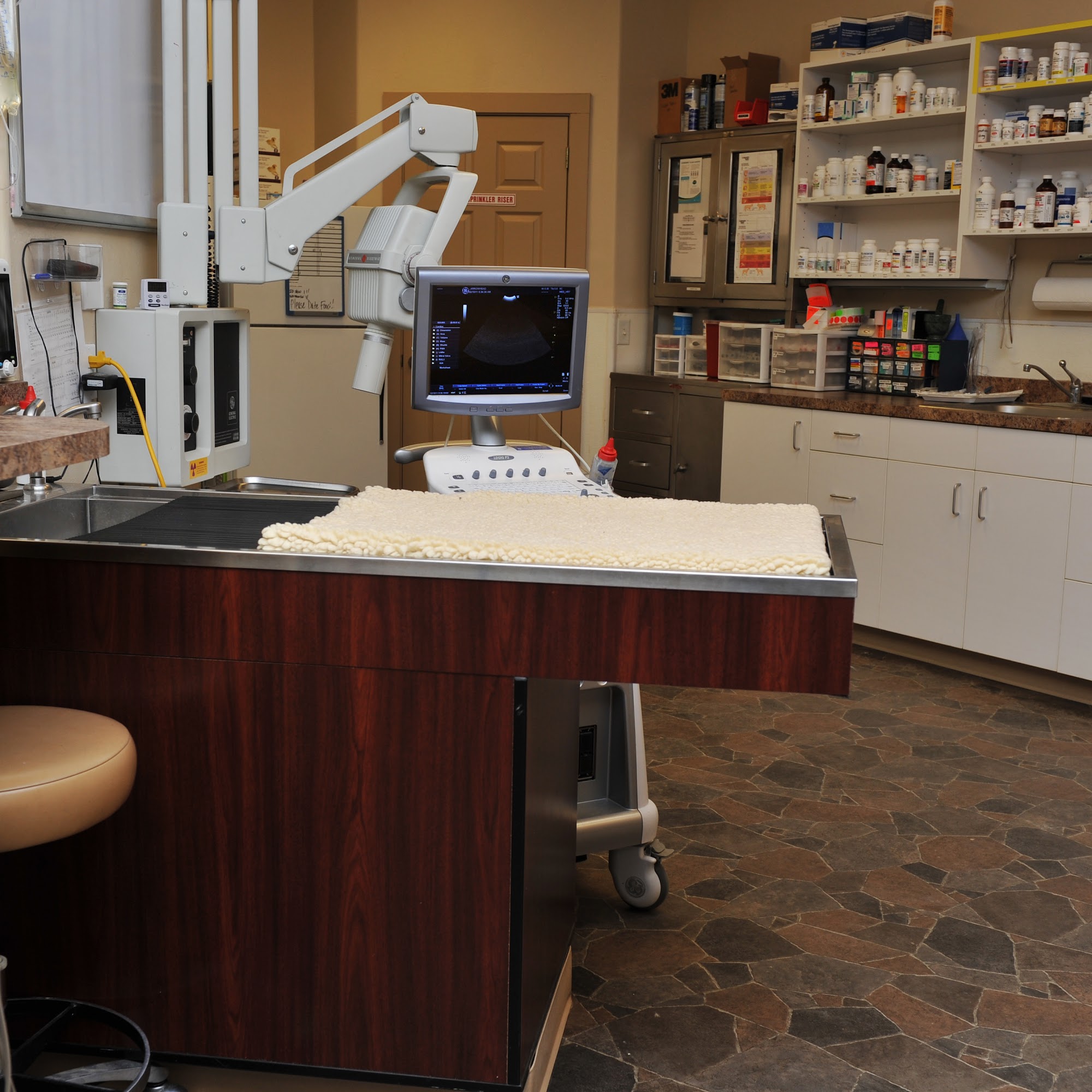 Arrowhead Veterinary Hospital, A Thrive Pet Healthcare Partner Fruita