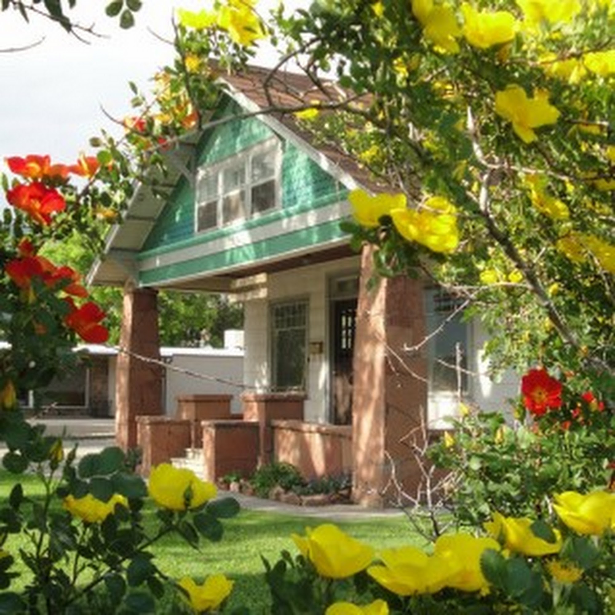 Birch Tree Animal Hospital Glenwood Springs