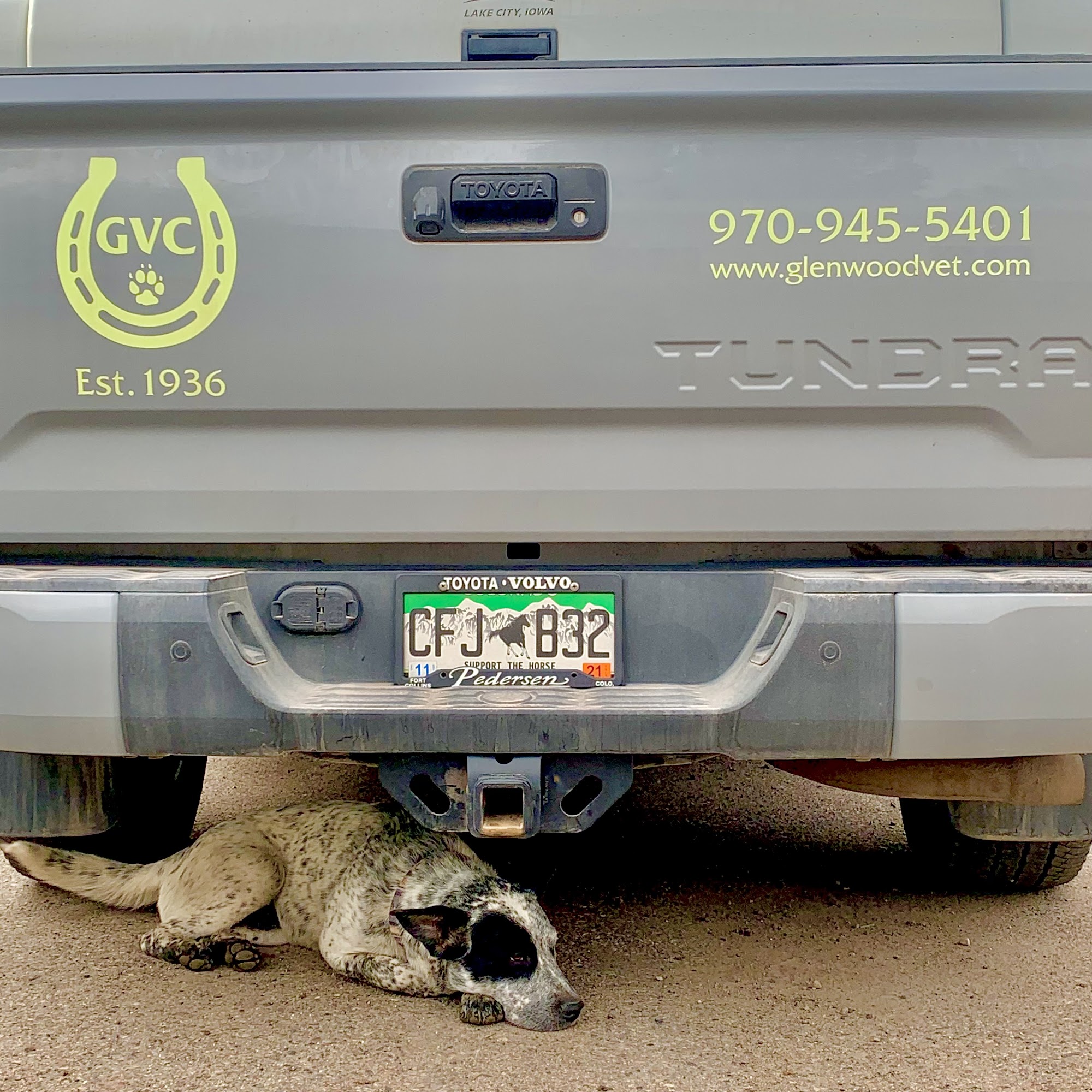 Glenwood Veterinary Clinic Glenwood Springs