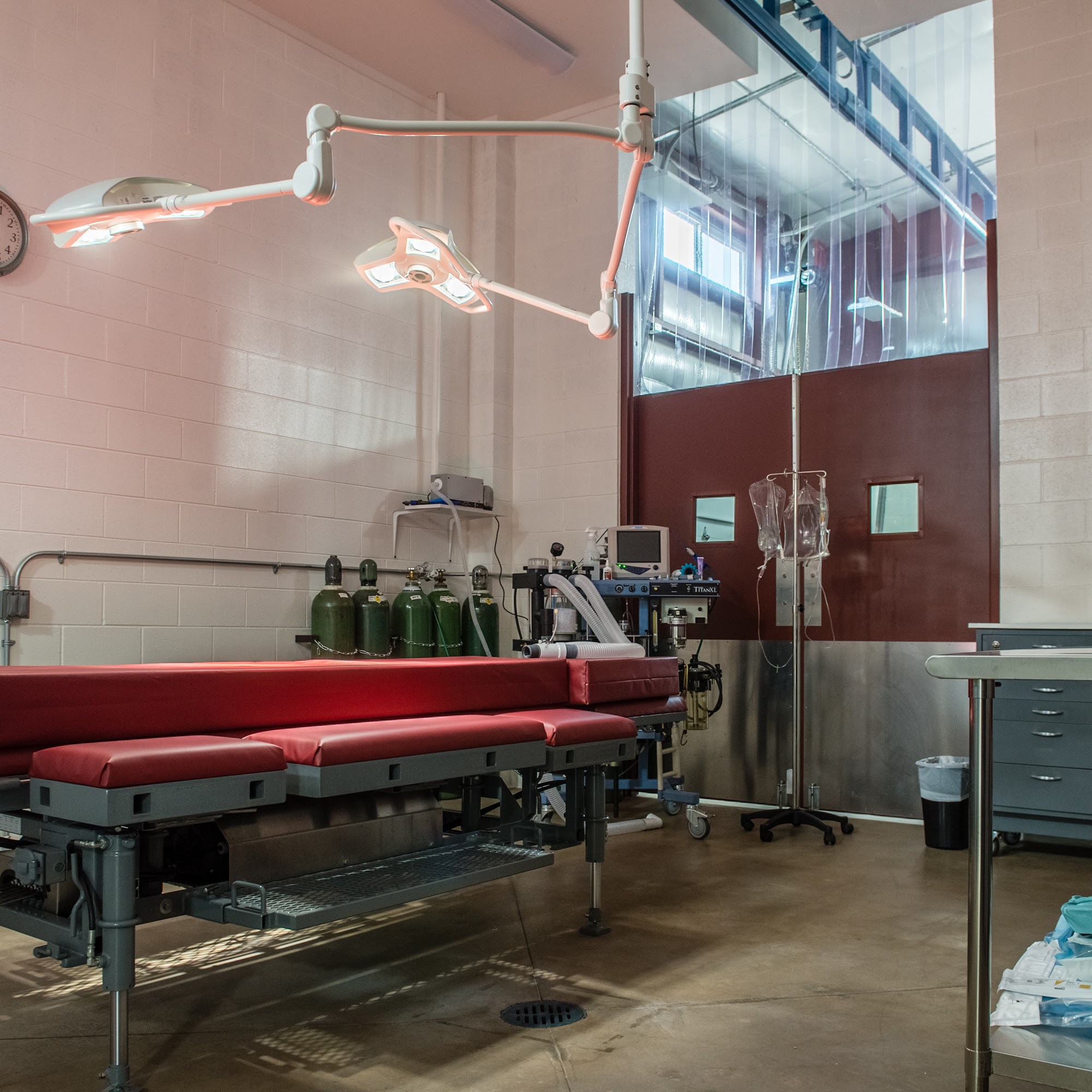 Roaring Fork Equine Medical Center Glenwood Springs