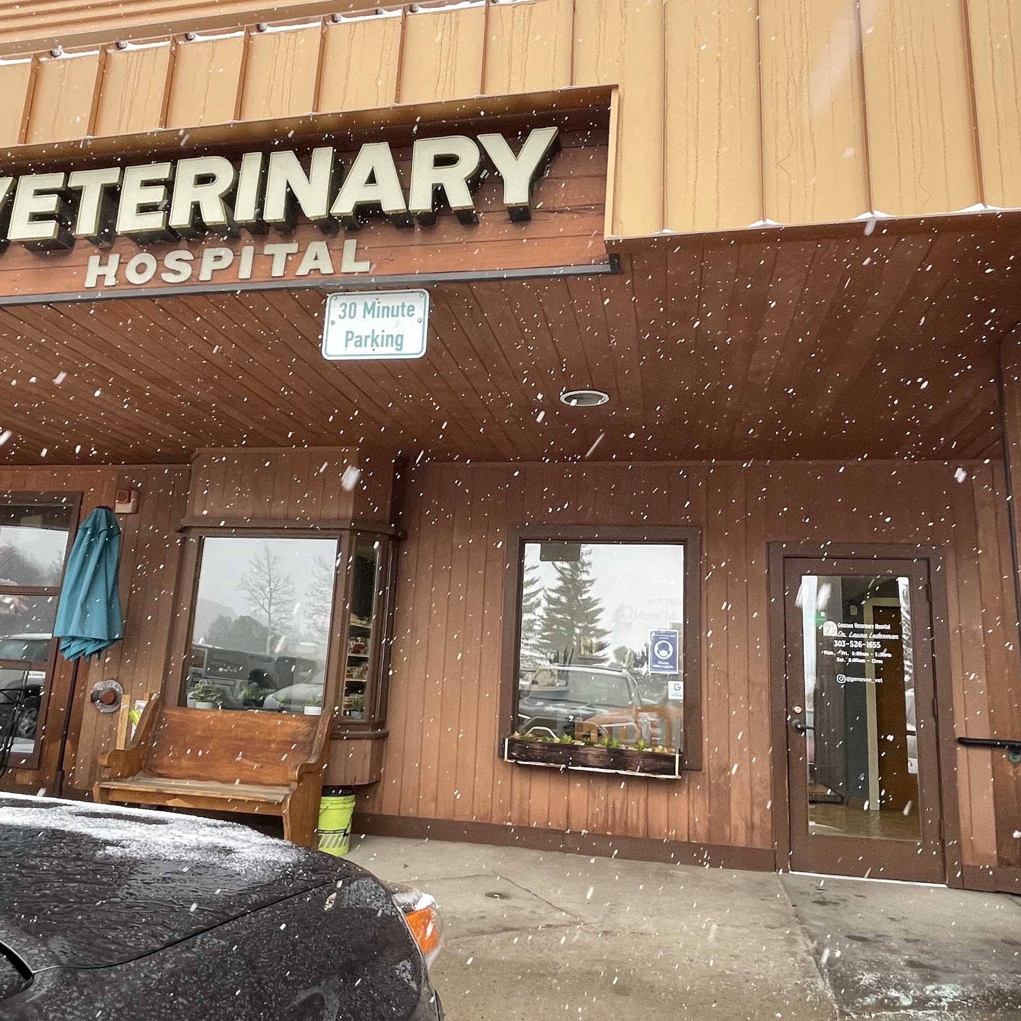 Genesee Veterinary Hospital Golden