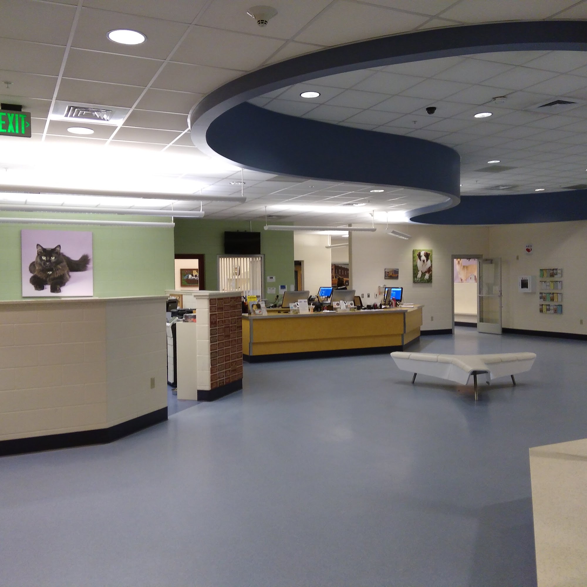 Foothills Animal Shelter Golden