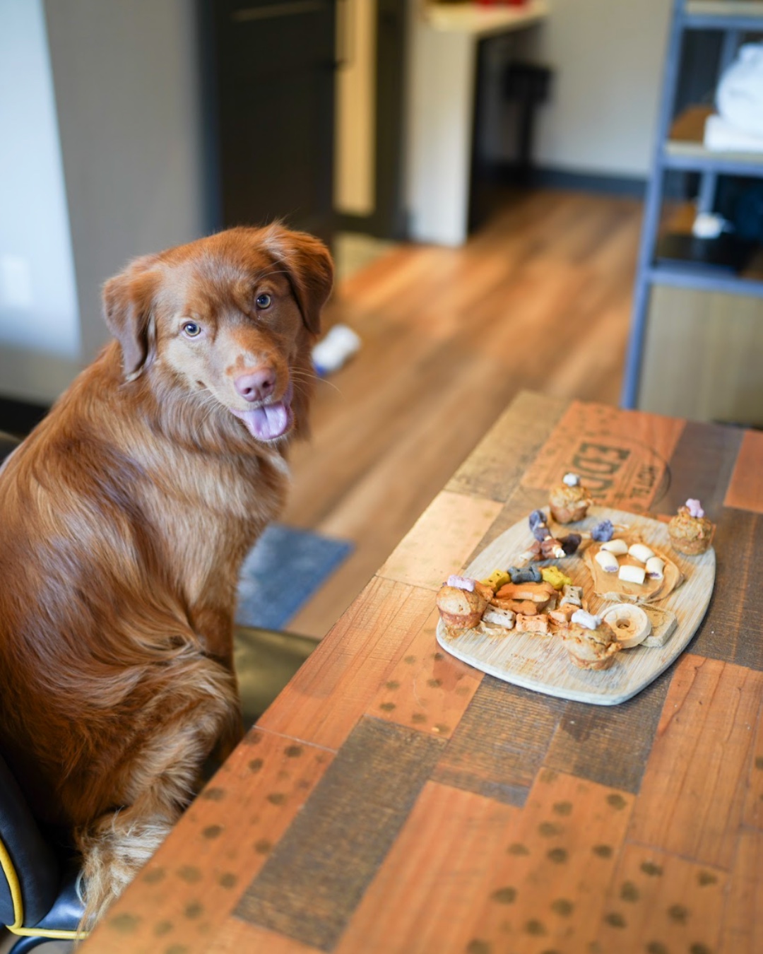 The Eddy Taproom & Hotel Golden