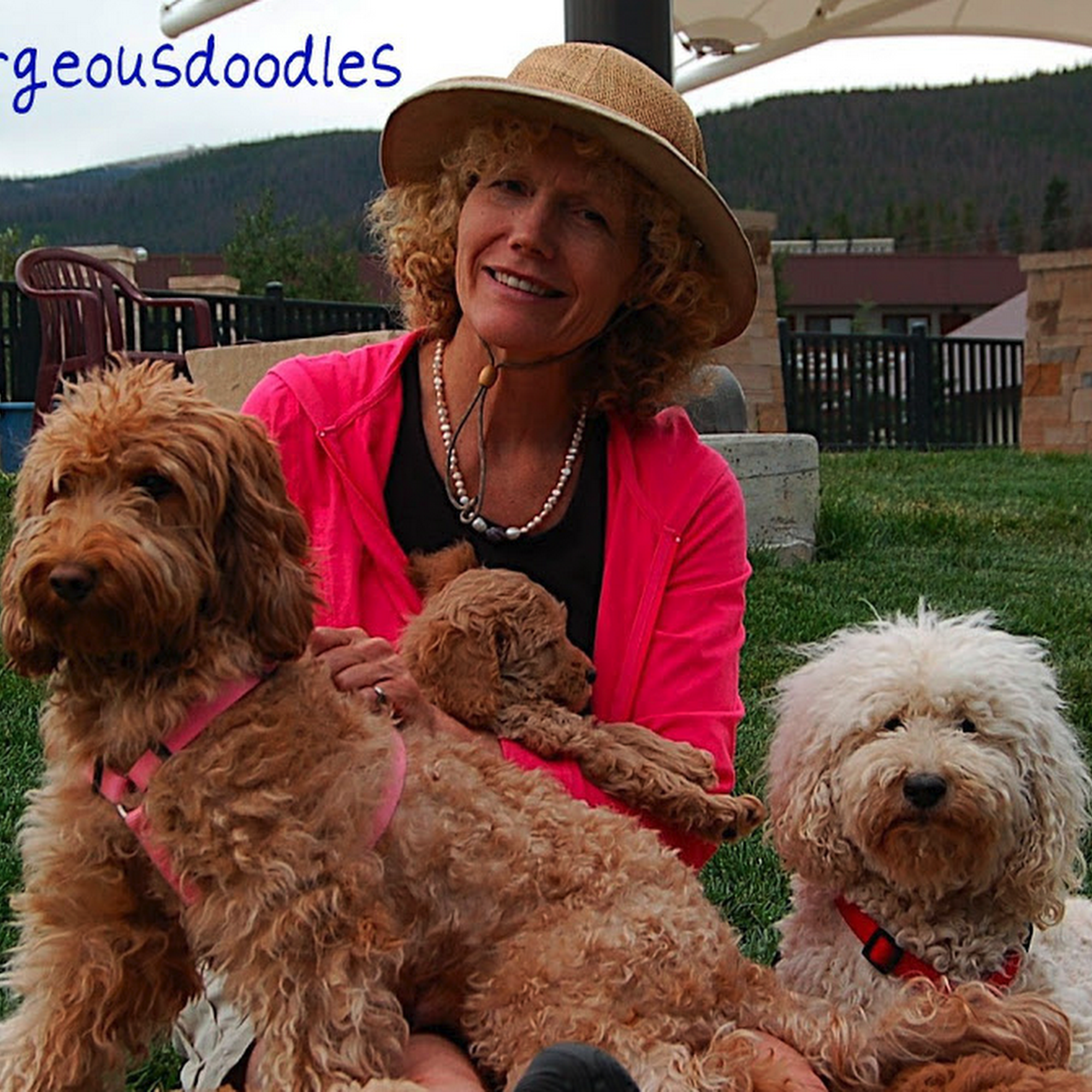 Gorgeousdoodles Granby