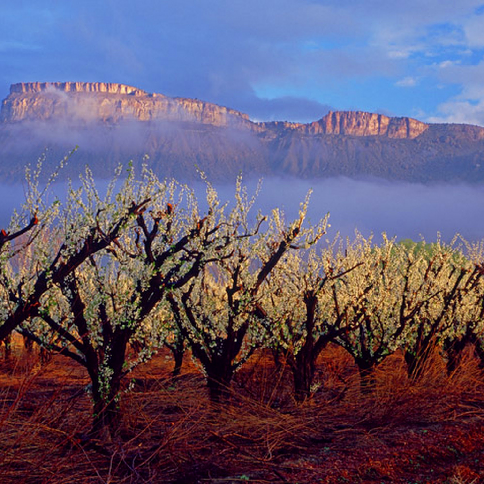 Dackonish & Blake, P.C.