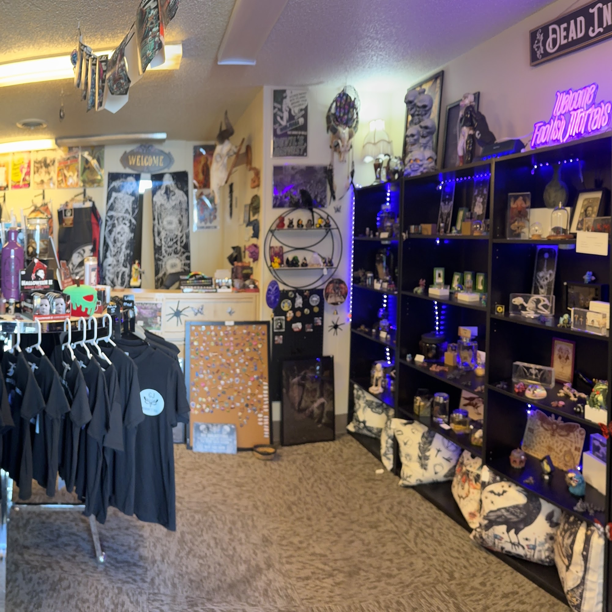 GJ Oddities Grand Junction