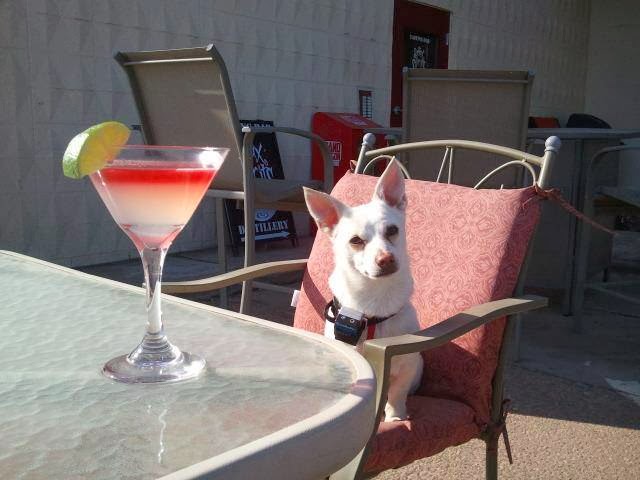 Syntax Distillery and Cocktail Bar Greeley