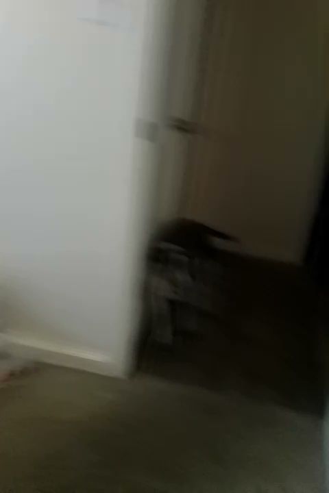 Custom Baked Goods Co. LLC