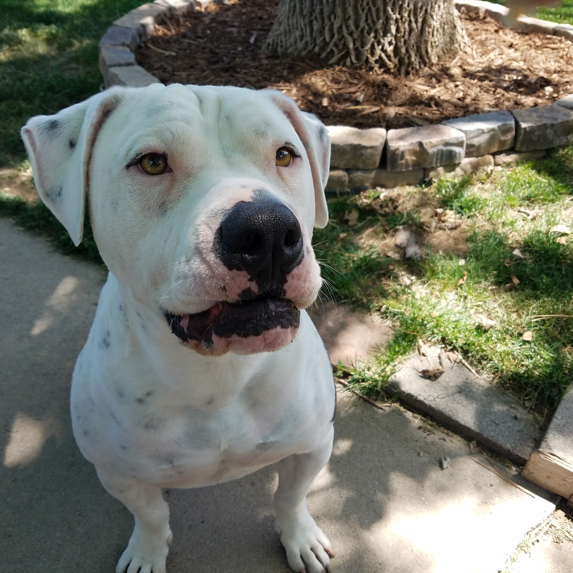 Animal Care Hospital Greeley