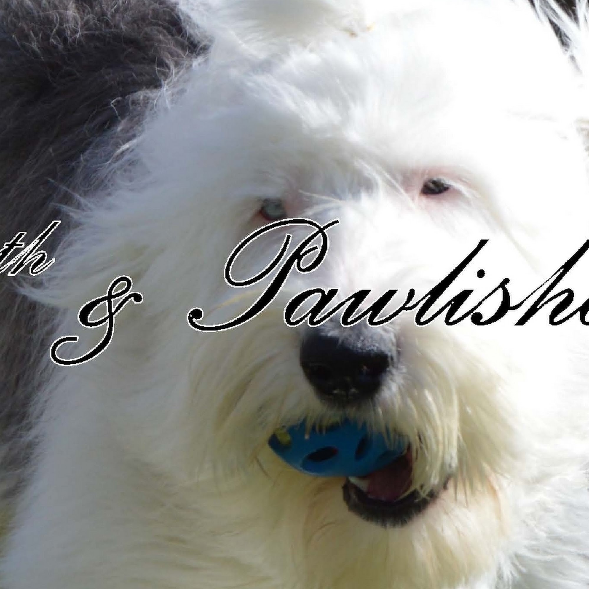 17th and Pawlished Greeley