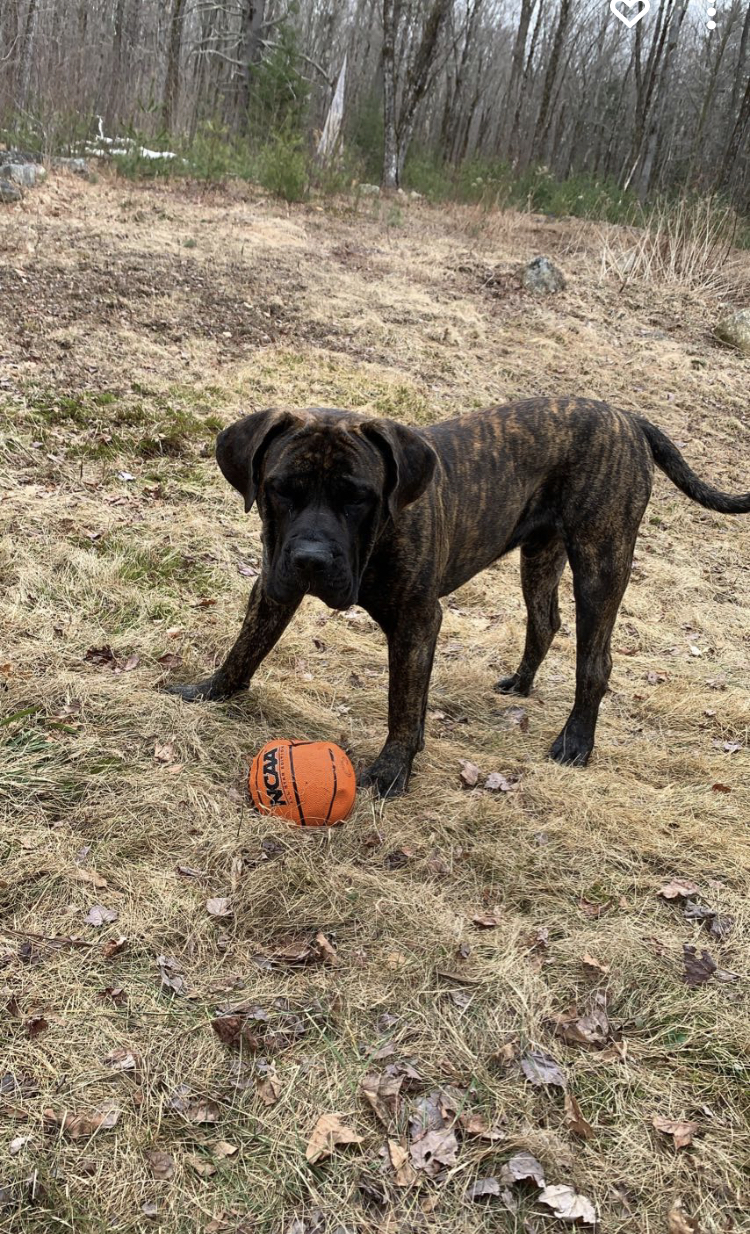 17th and Pawlished Greeley