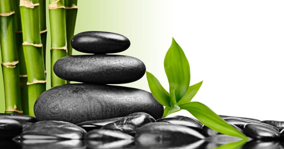 Renew Aesthetics LLC 8201 W 20th St, Greeley Colorado 80634