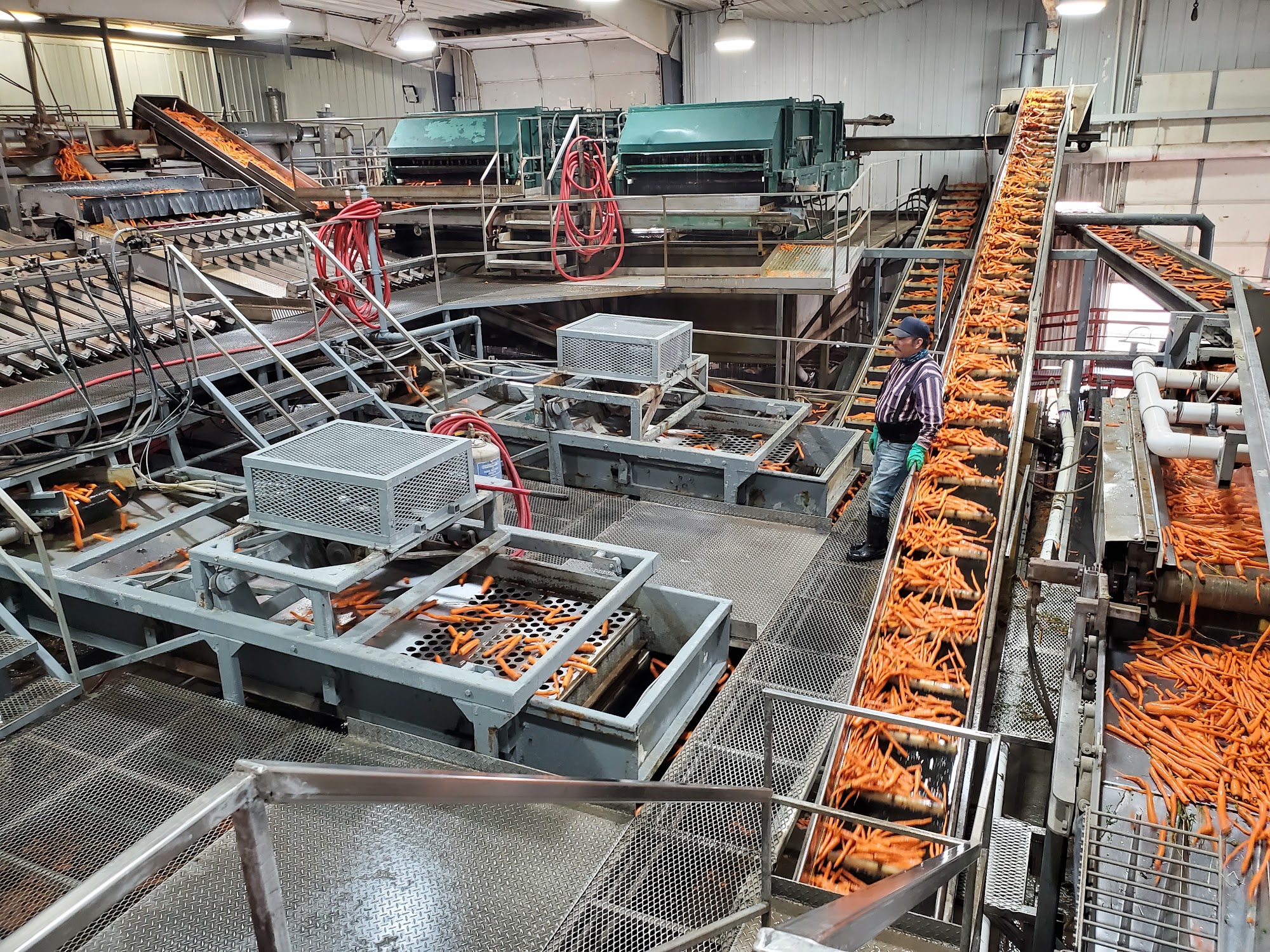 Hungenberg Produce Greeley