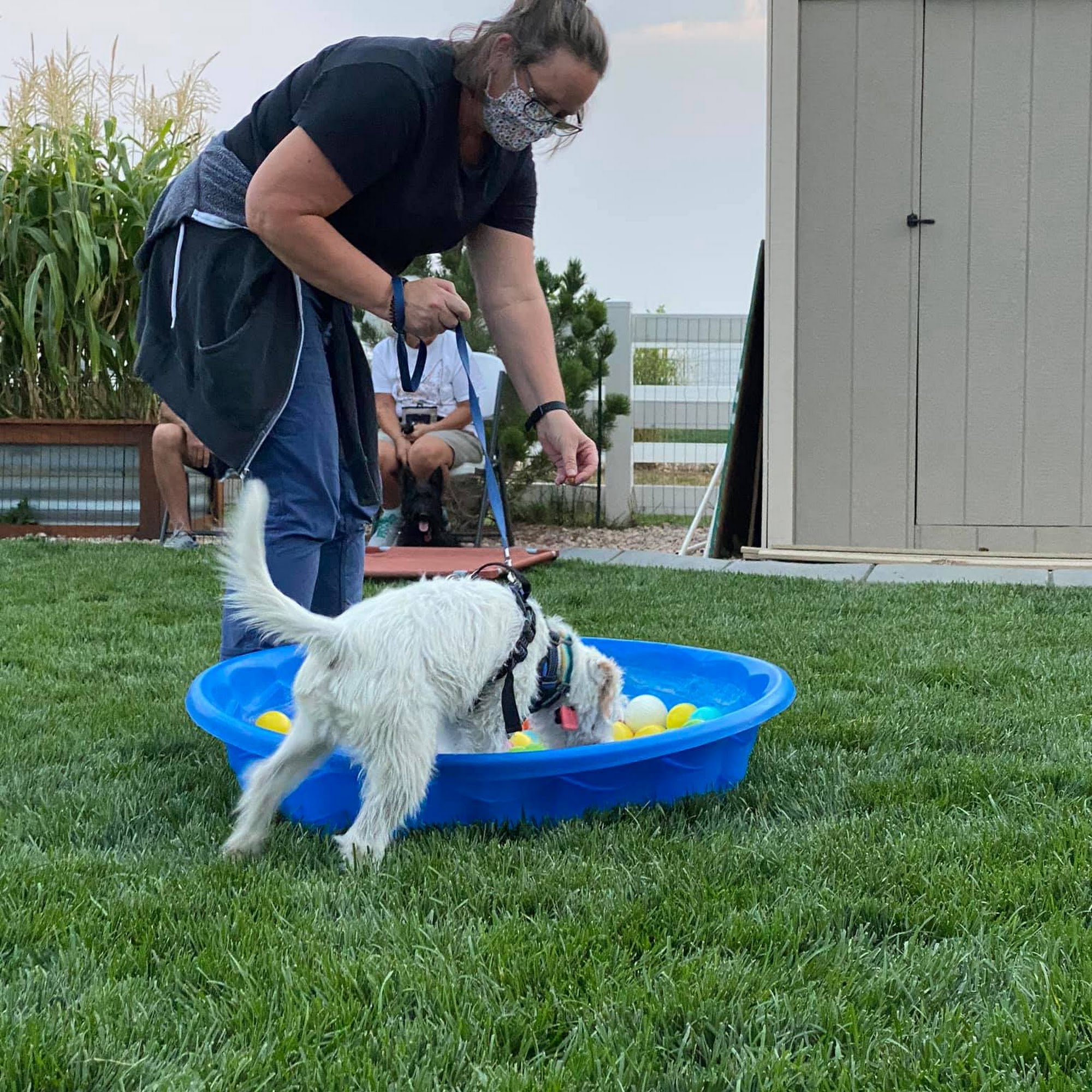 High Plains K-9 Connections, LLC 16876 Longs Peak Rd, Greeley Colorado 80631