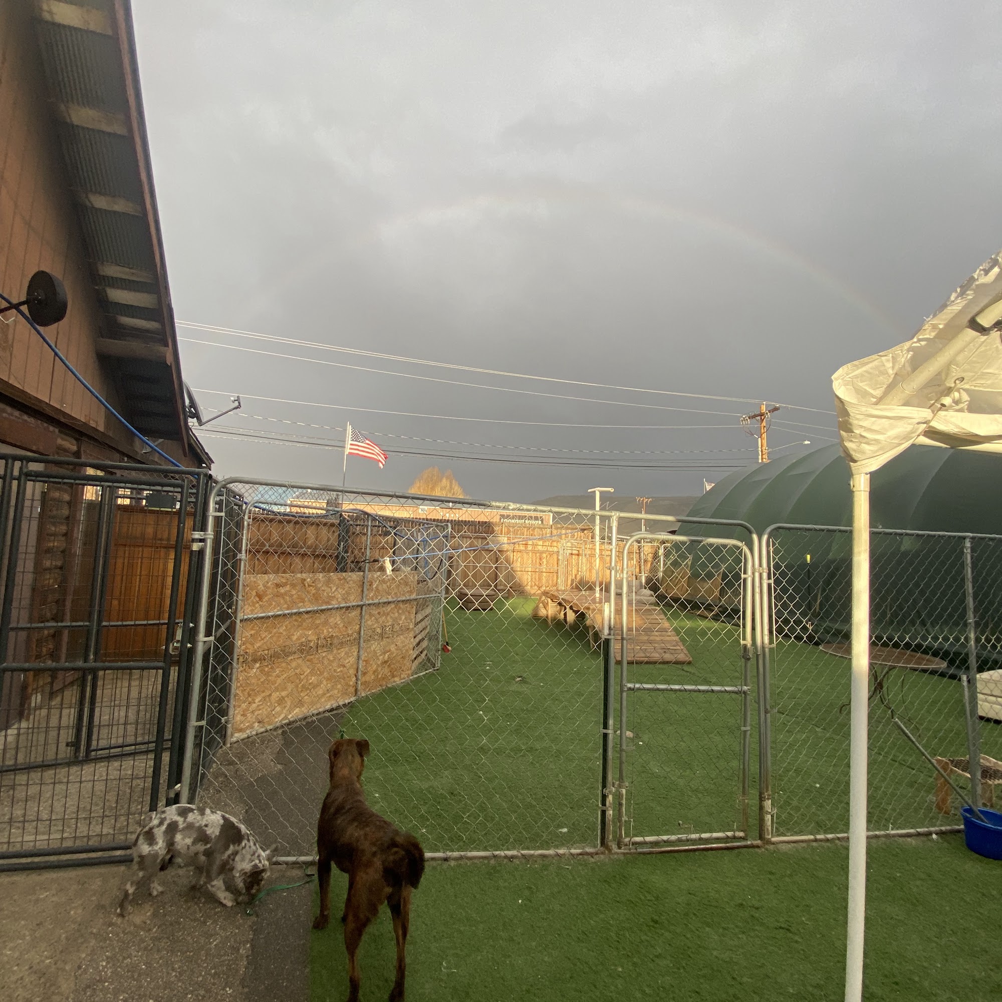 Dog Cabin Resort Gunnison