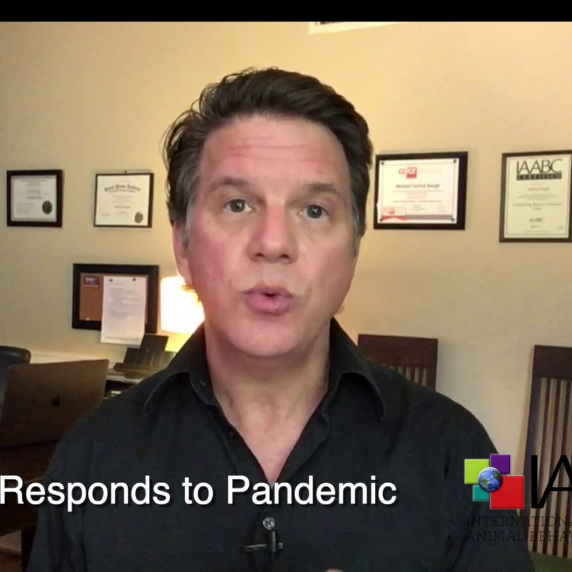 Cornerstone Dog Training LLC Gypsum