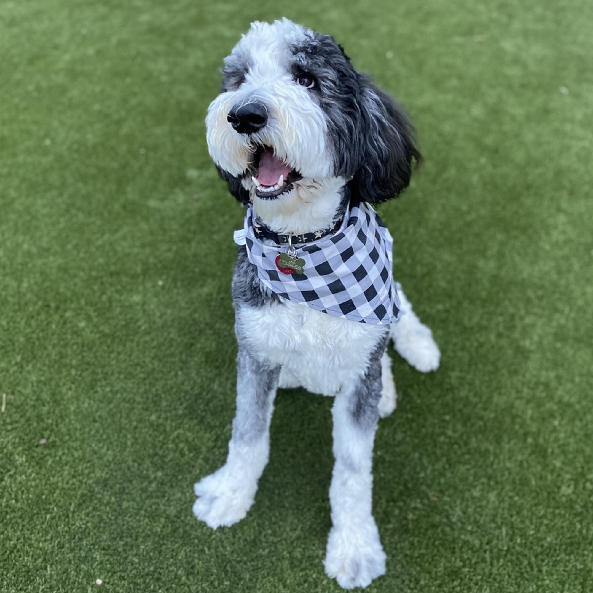 Rocky Mountain Small Animal Hospital Highlands Ranch