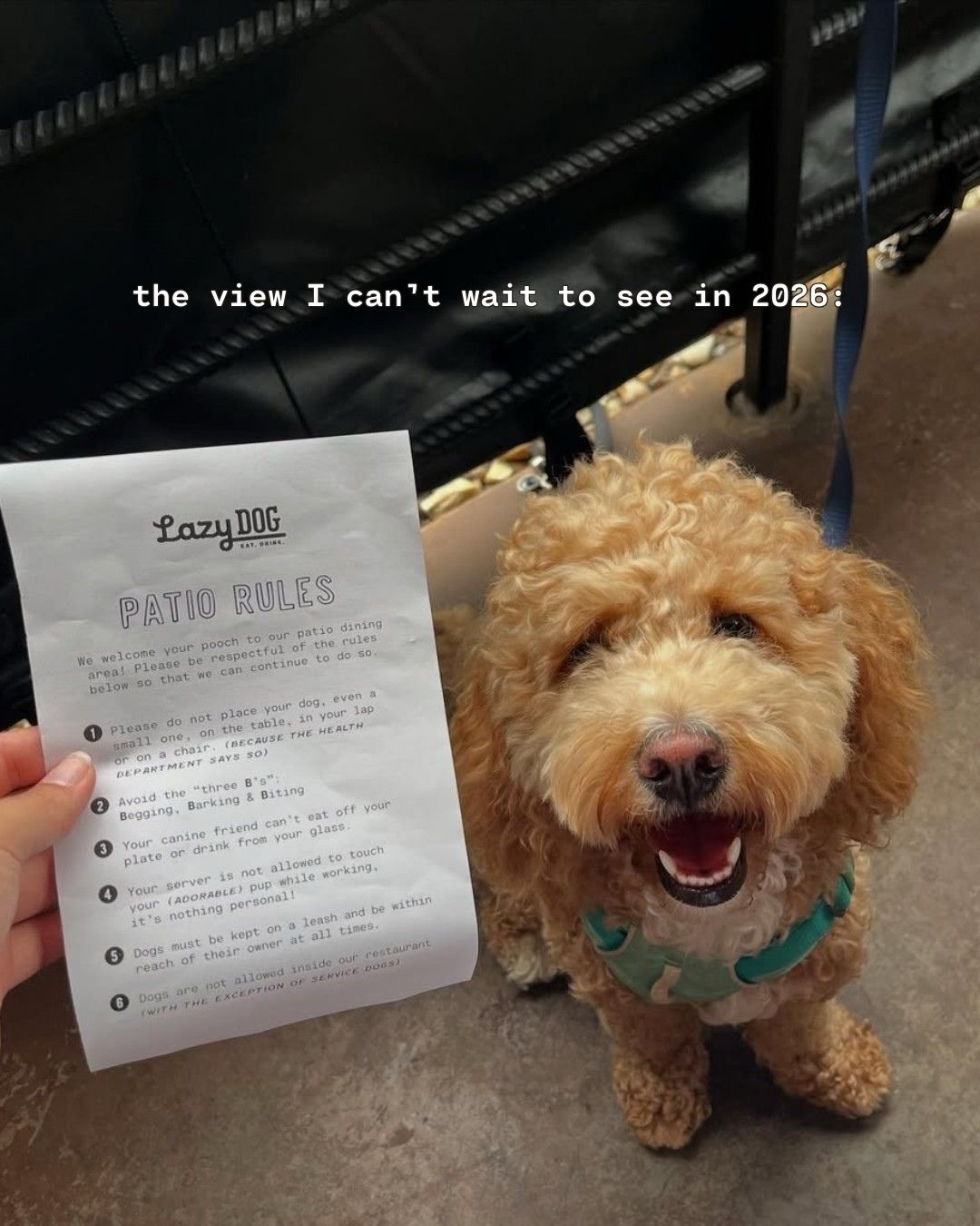 Lazy Dog Restaurant & Bar Highlands Ranch