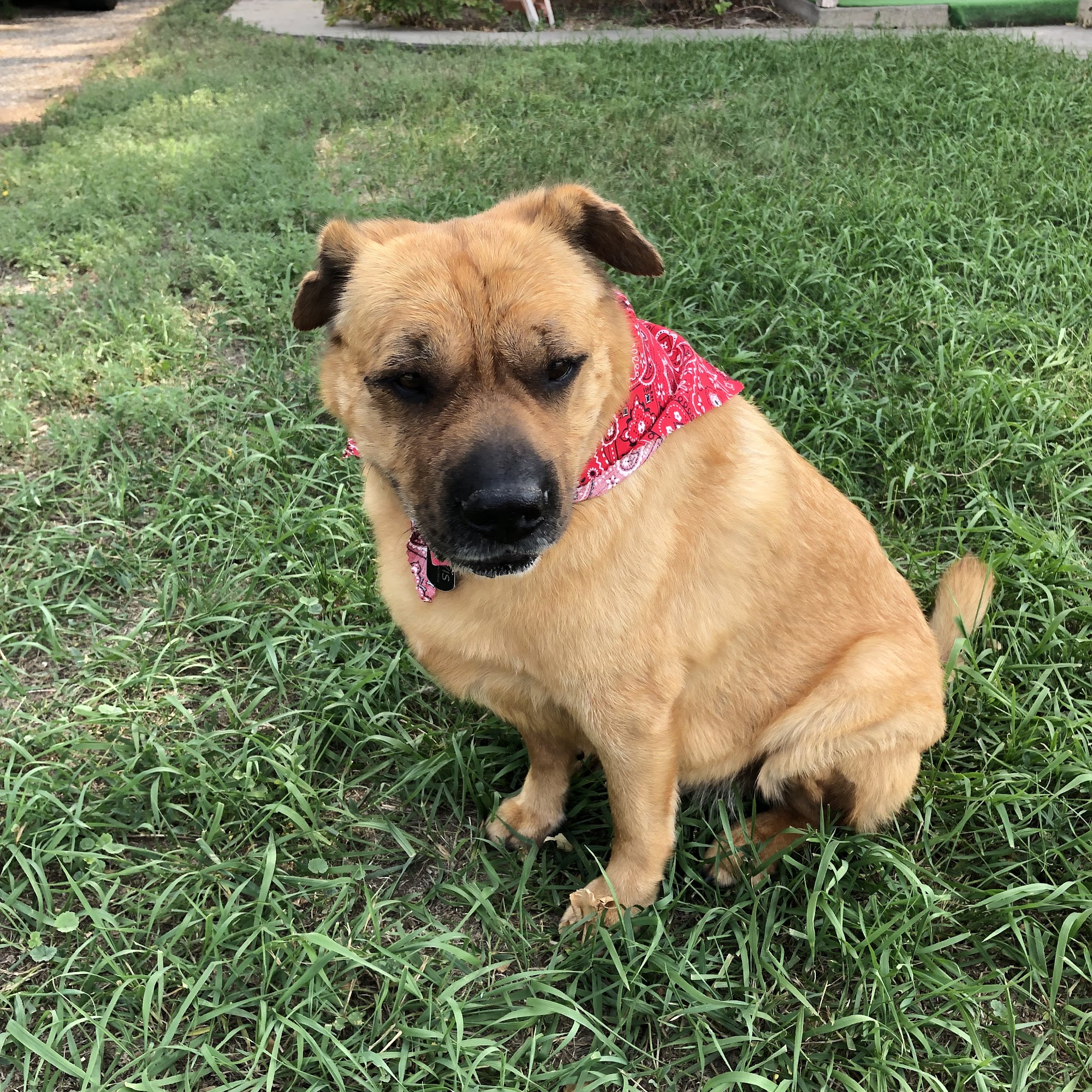 Houseweart Veterinary Clinic Hotchkiss