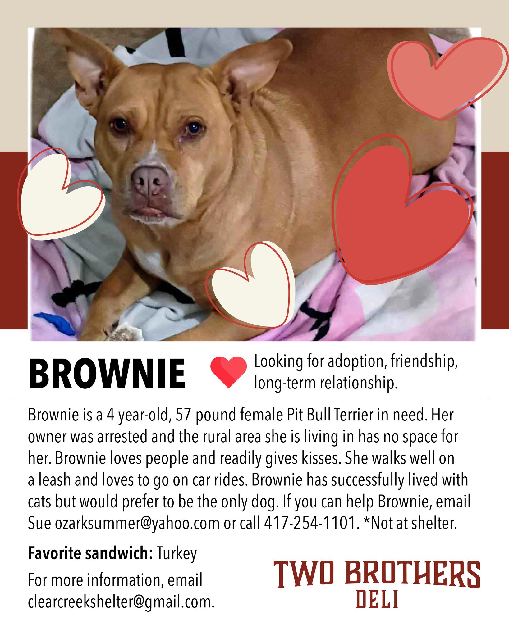 Two Brothers Deli Idaho Springs