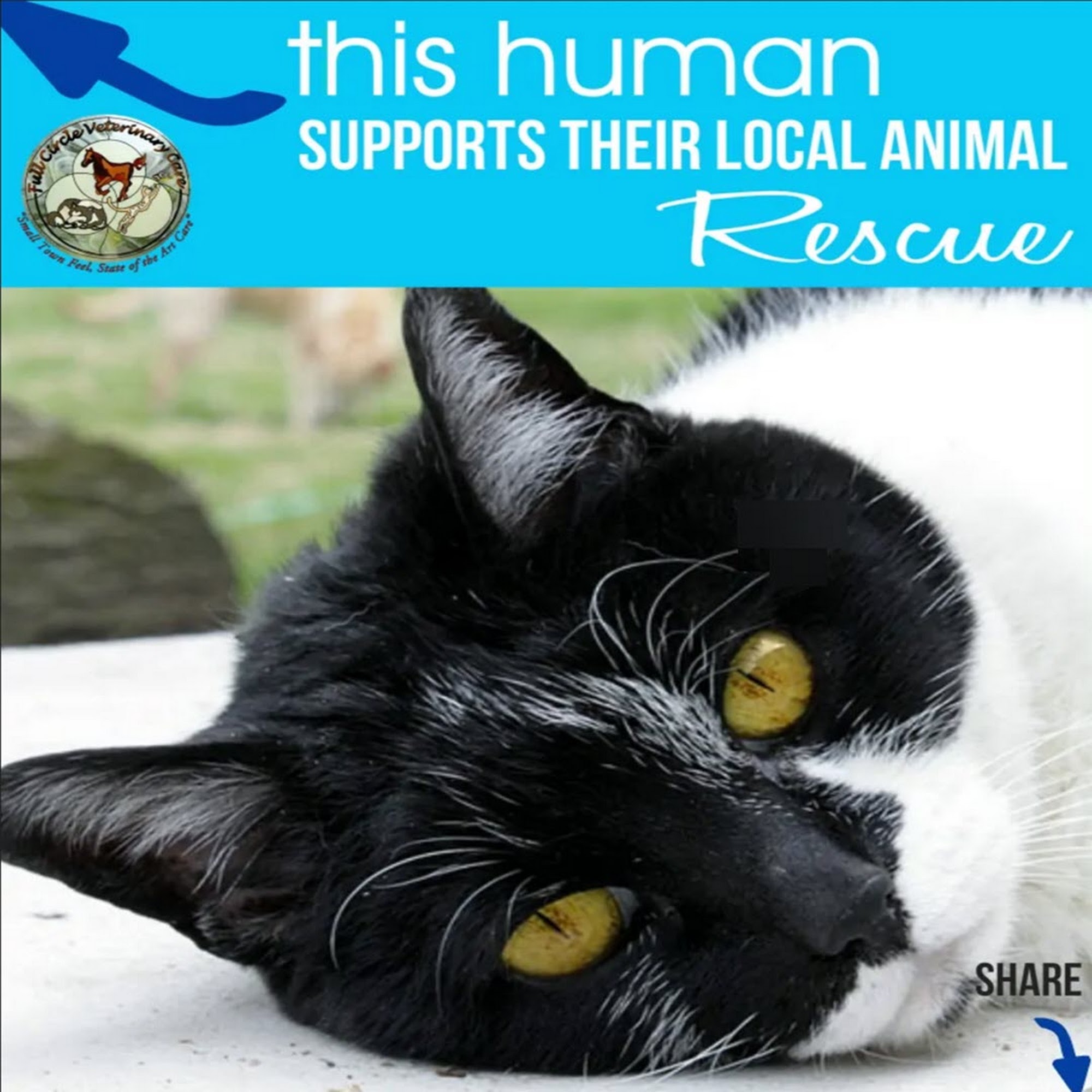 Full Circle Veterinary Care Johnstown