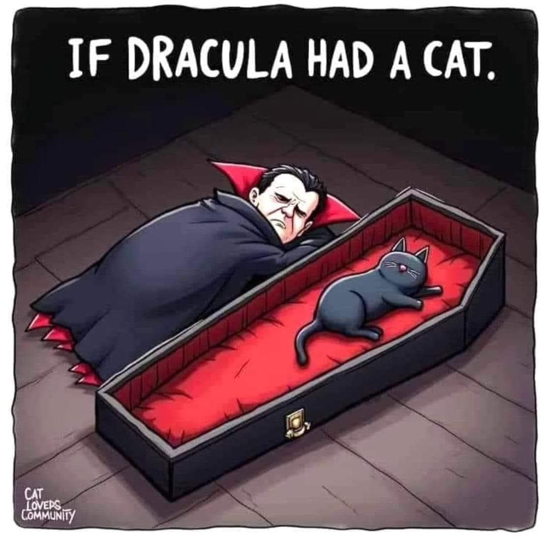 The Cat Doctor Johnstown