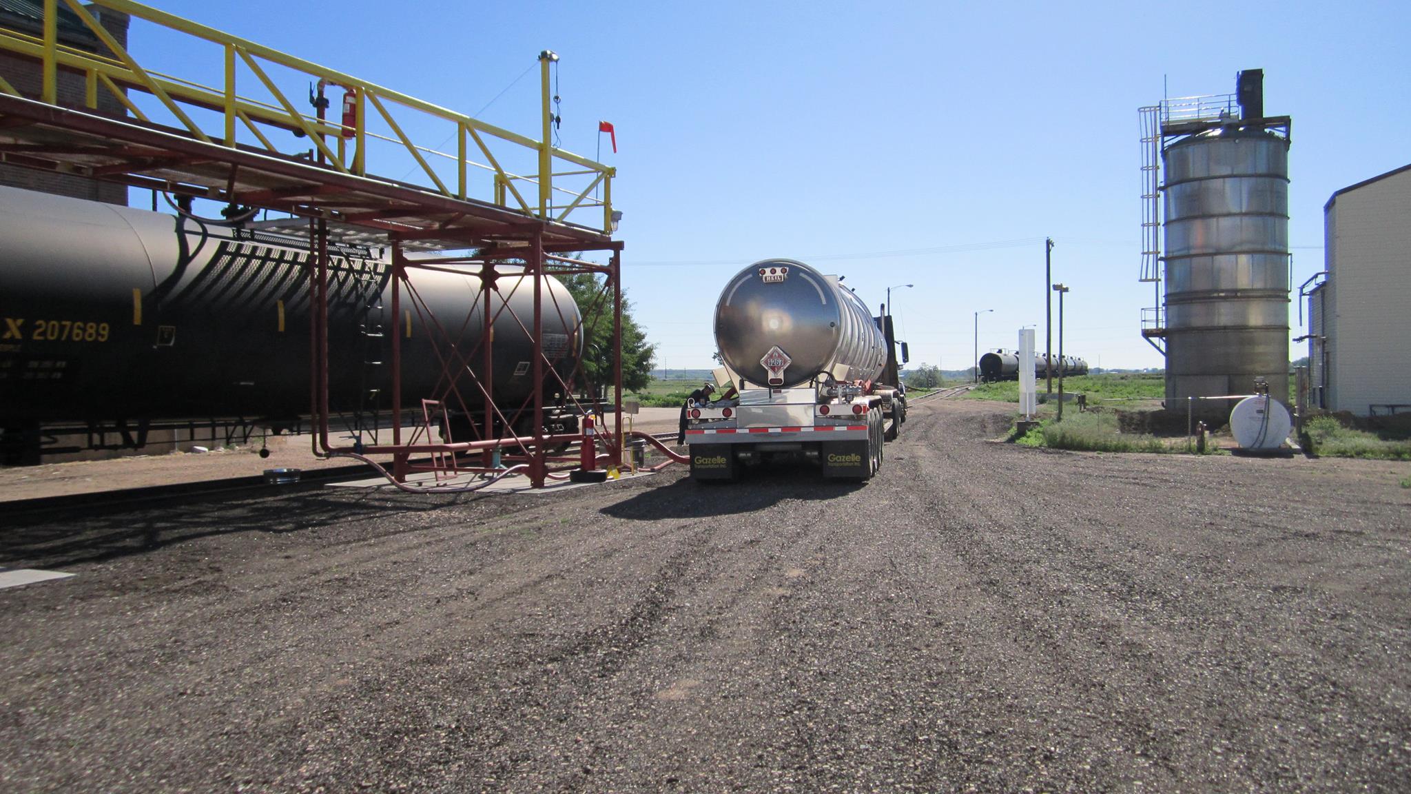 Colorado Sweet Gold Johnstown